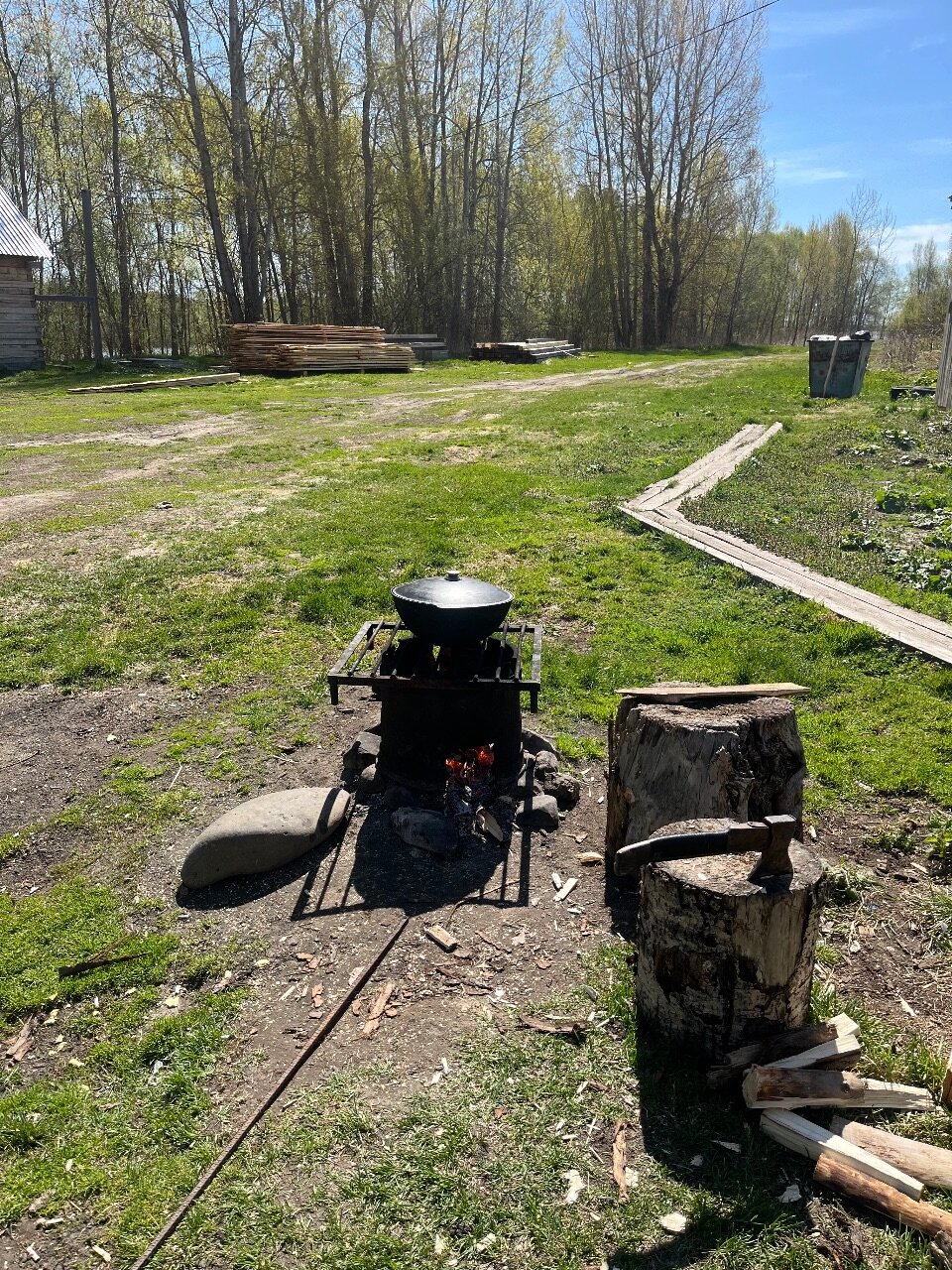 Фото Домик на дереве