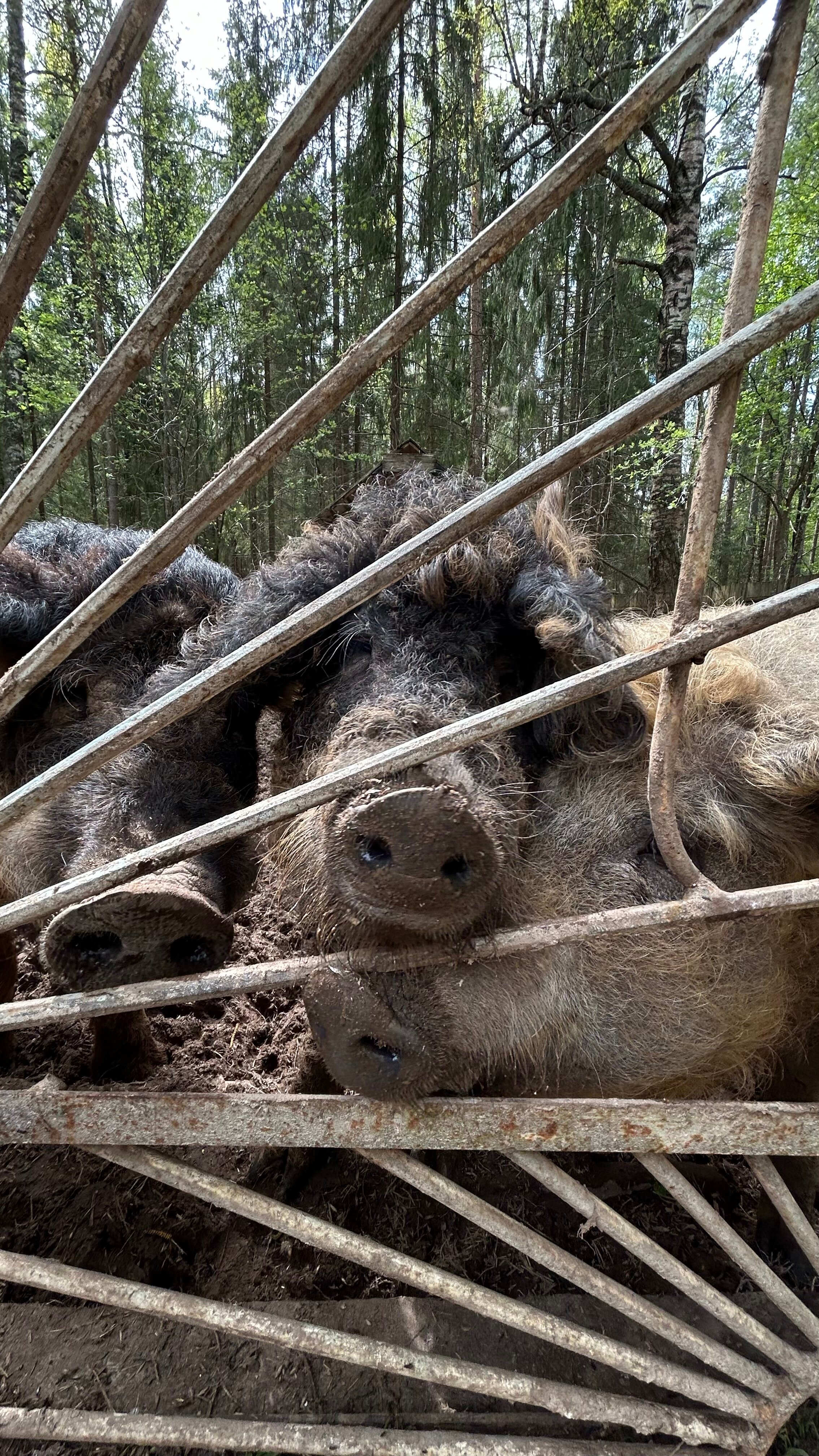 Фото Тайны Юронги