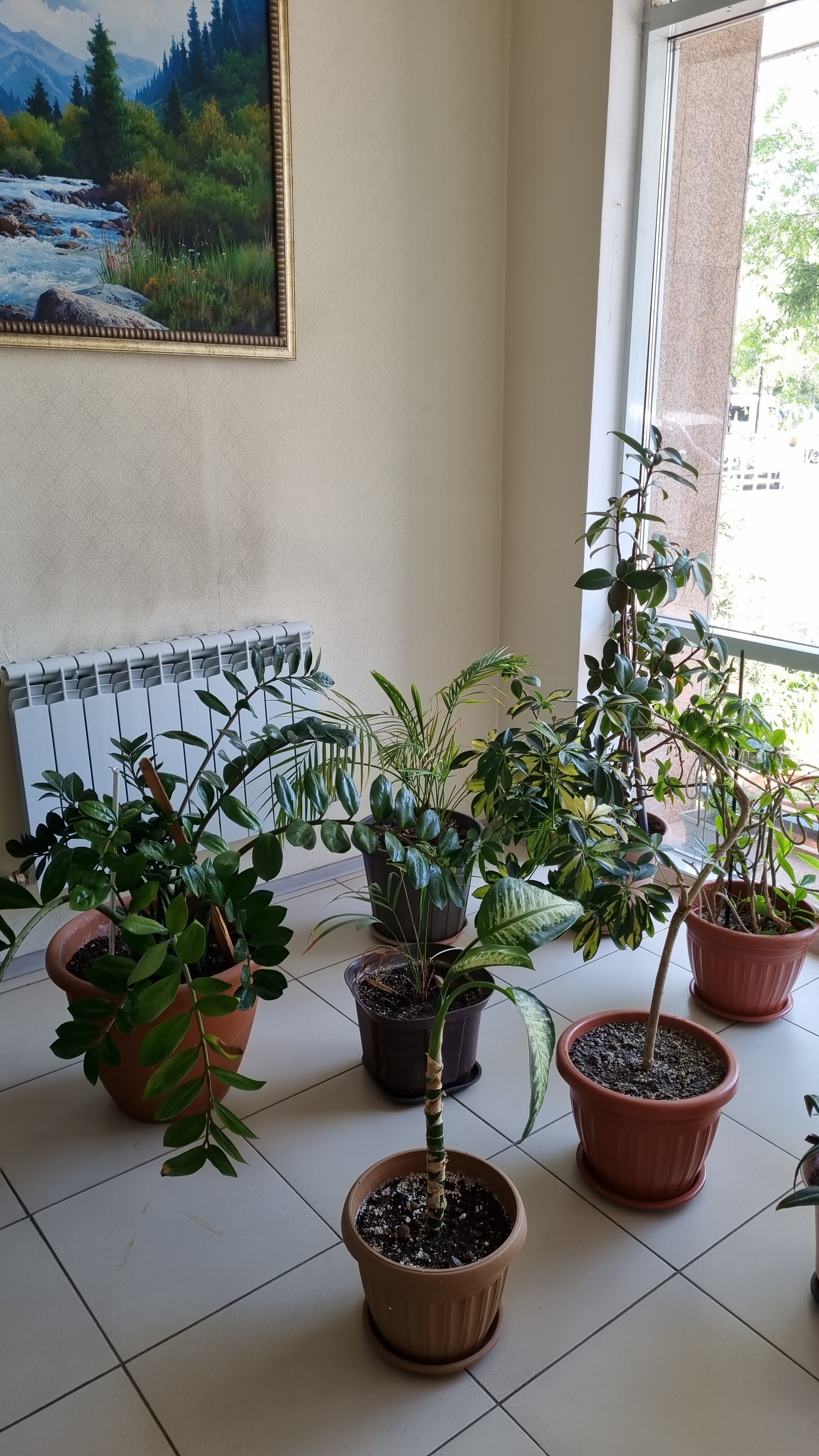 Фото Алтын Адам