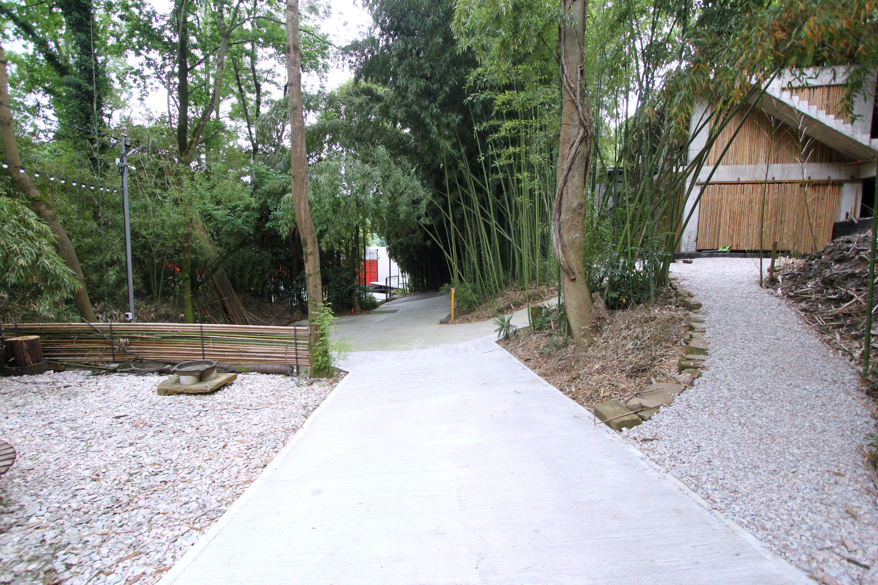 Фото Бамбуковая Роща