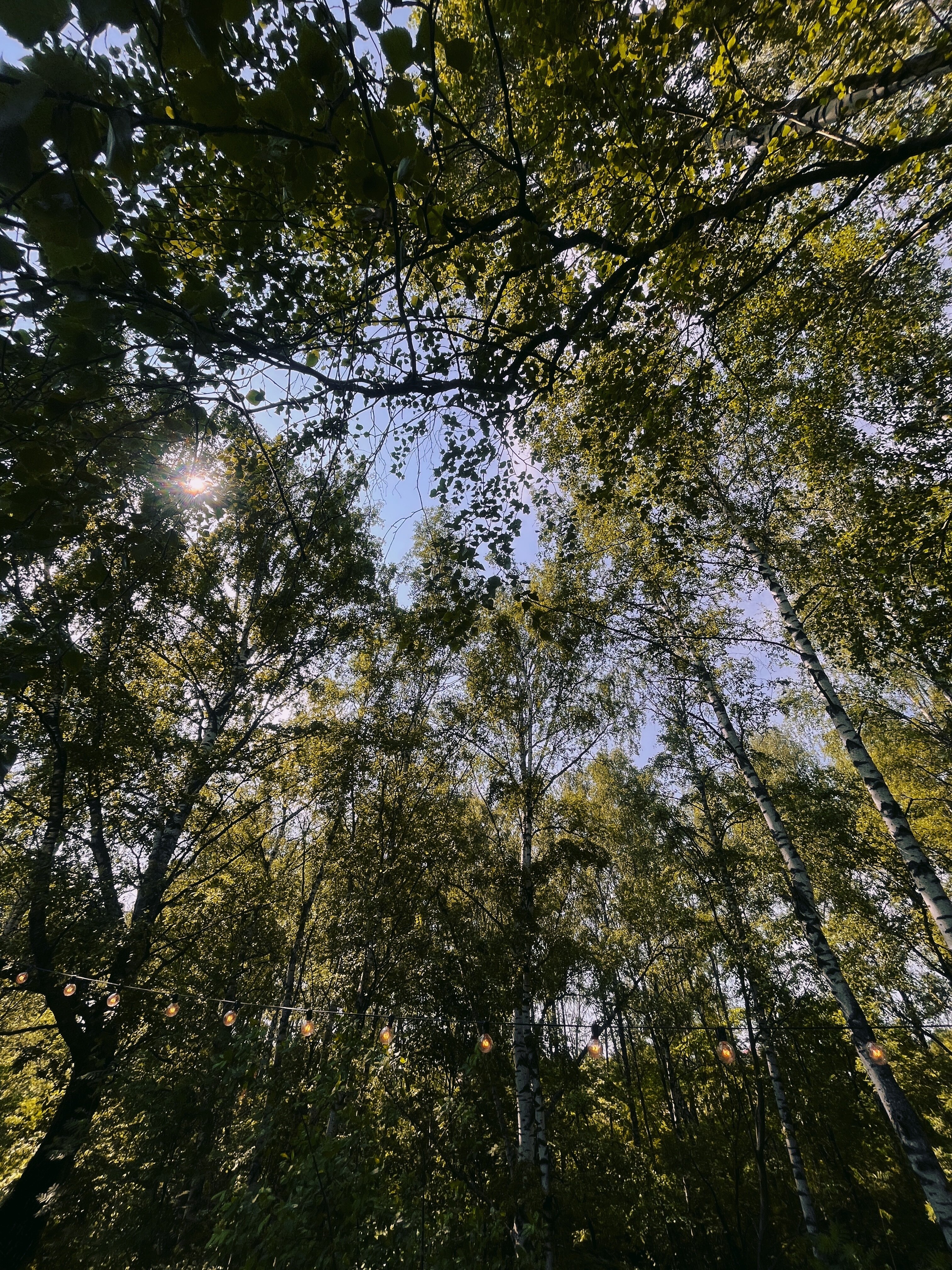 Фото Гармония тишины