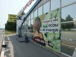 Планета цветов (Republic of Tatarstan, Naberezhnye Chelny, Vakhitova Avenue) ، محل زهور