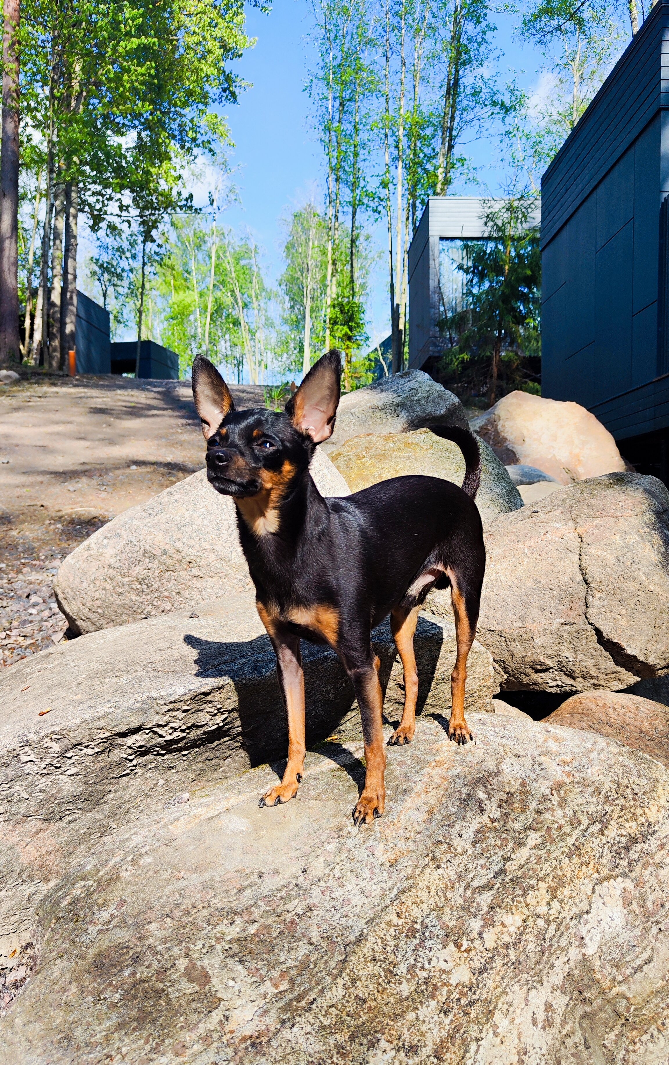 Фото Виллы White Resort Поляны Карелия