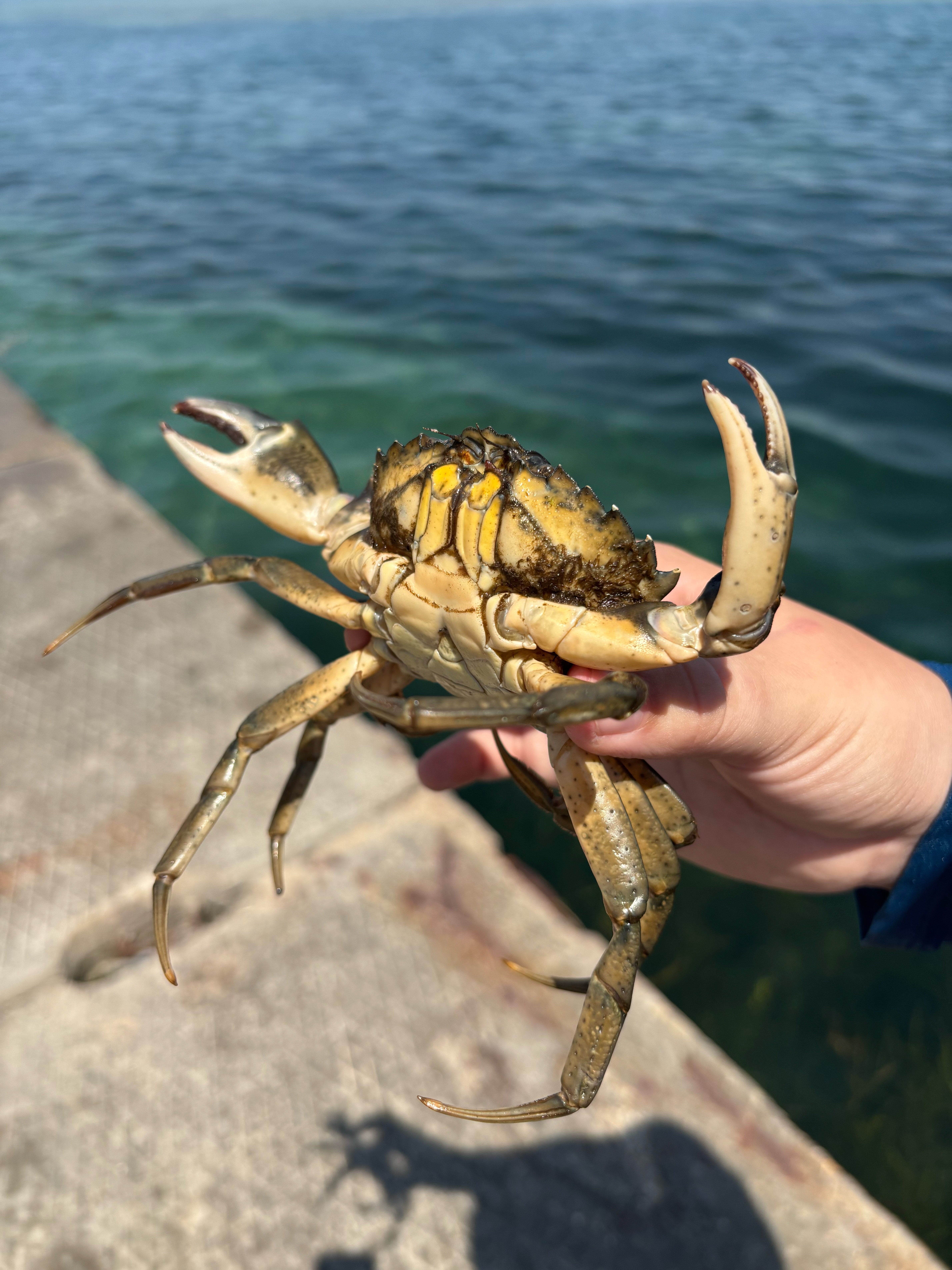 Фото Усадьба Сокол