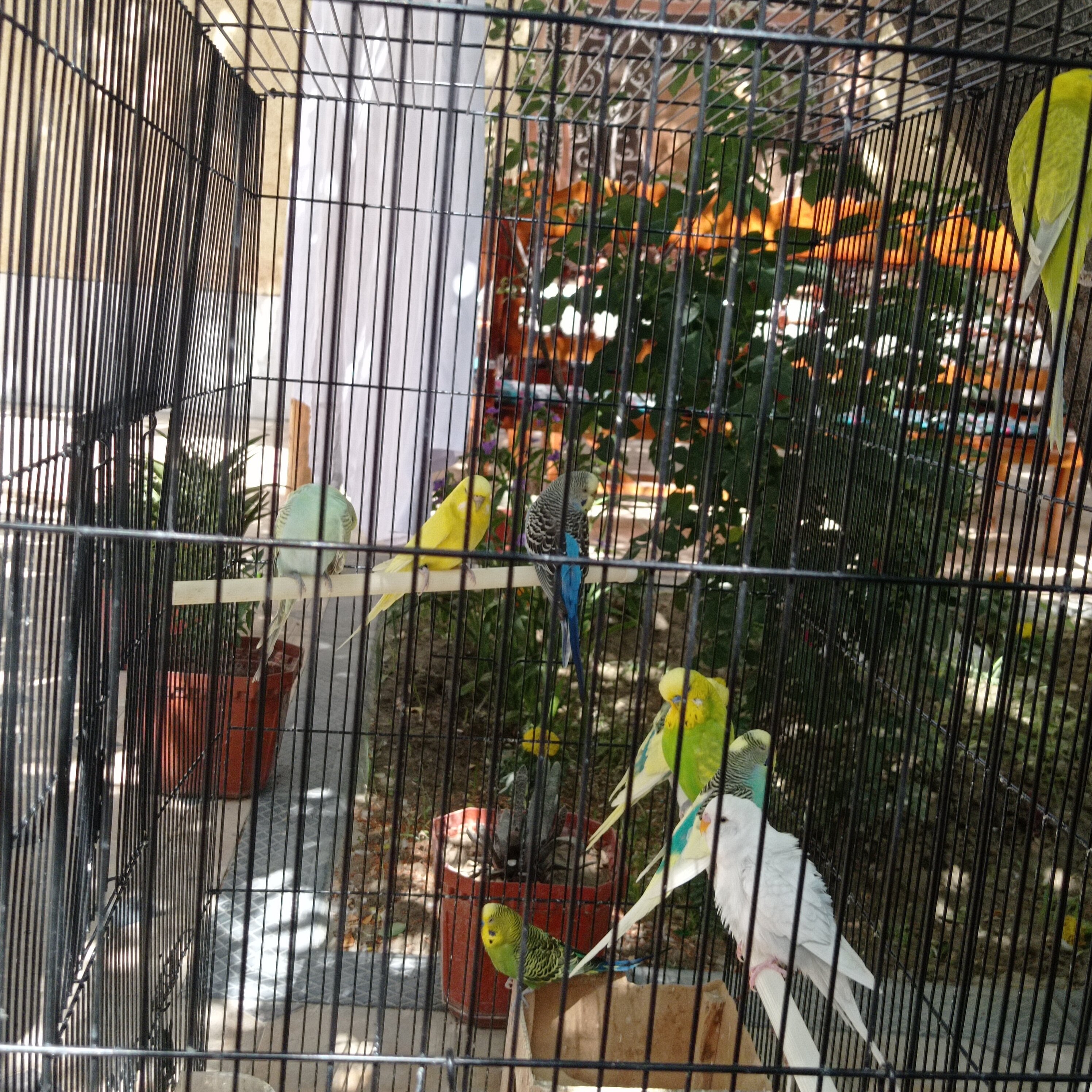 Фото Darvozai Samarkand