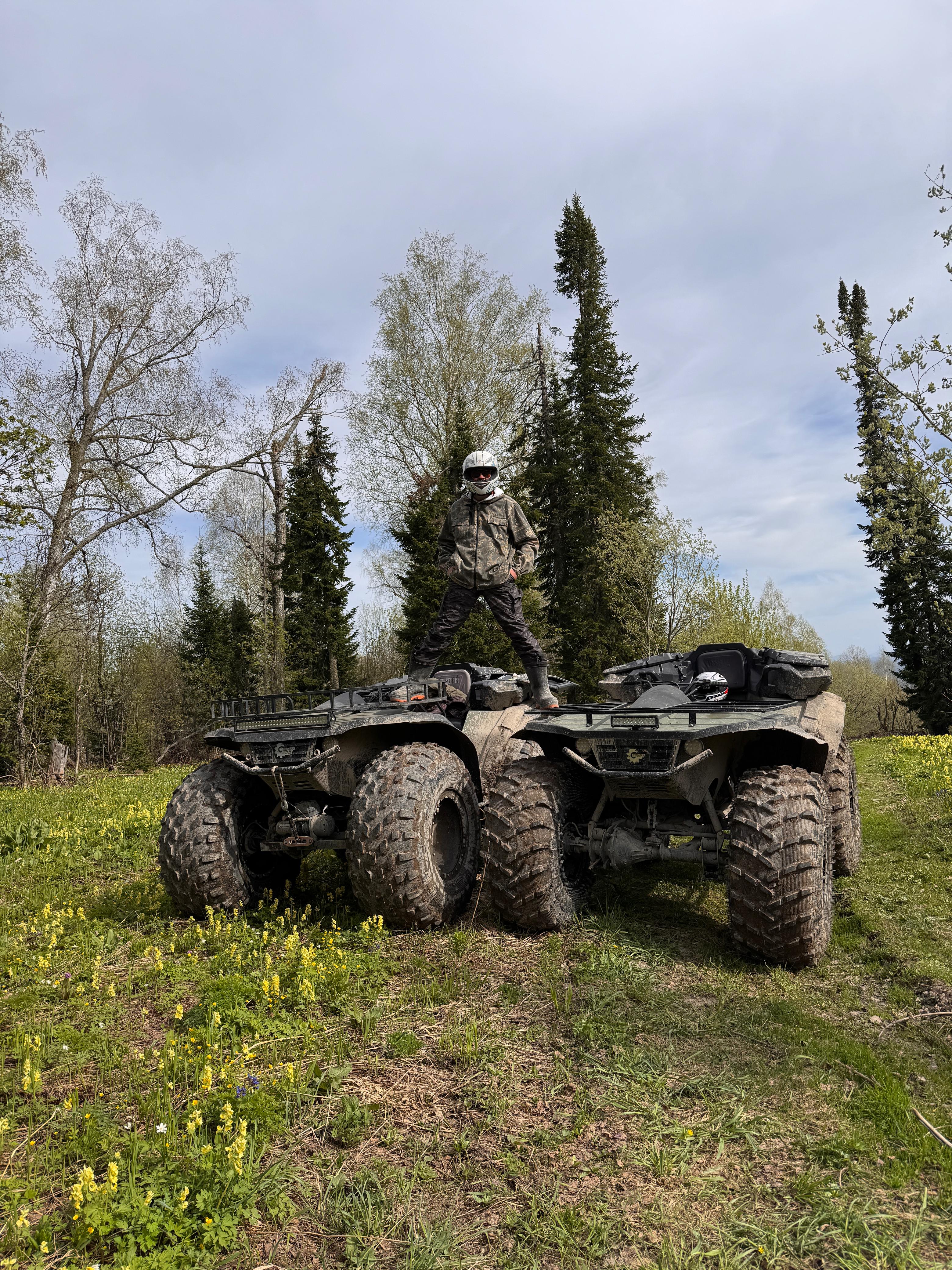 Фото Рыжий кот