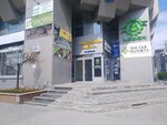 Chehol Vdom (Gogolya Street, 15), auto parts and auto goods store