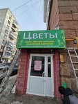 Indoor plants (Chelyabinskiy gorodskoy okrug, Tsentralniy District, Sovietskaya Street, 67), landscaping of premises