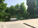 Начальная школа-детский сад № 8 (Nikolaya Otrady Street, 38), kindergarten, nursery