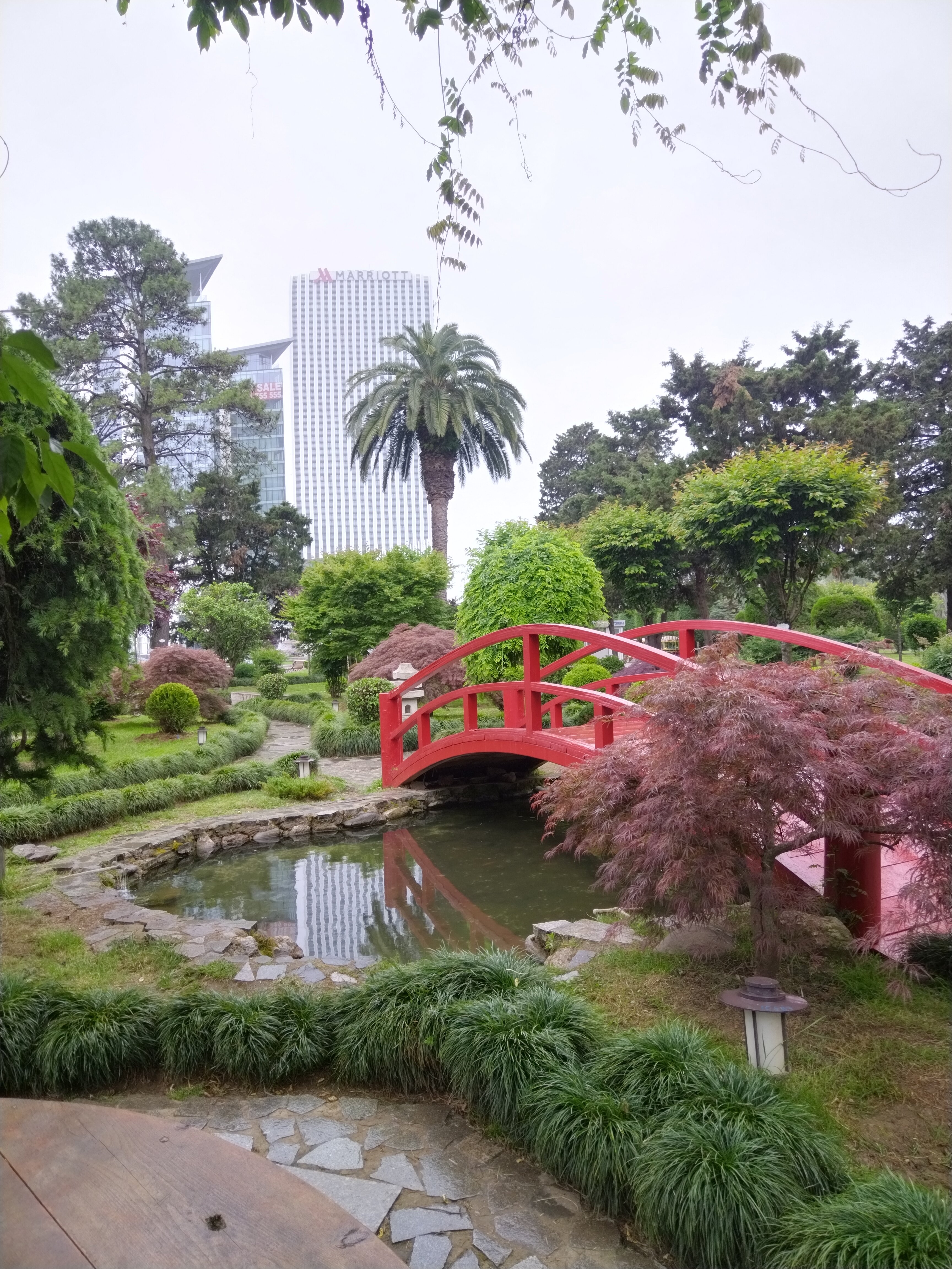 Фото 181974327857