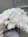 8mart (Táýelsizdik kóshesi, 37), flowers and bouquets delivery