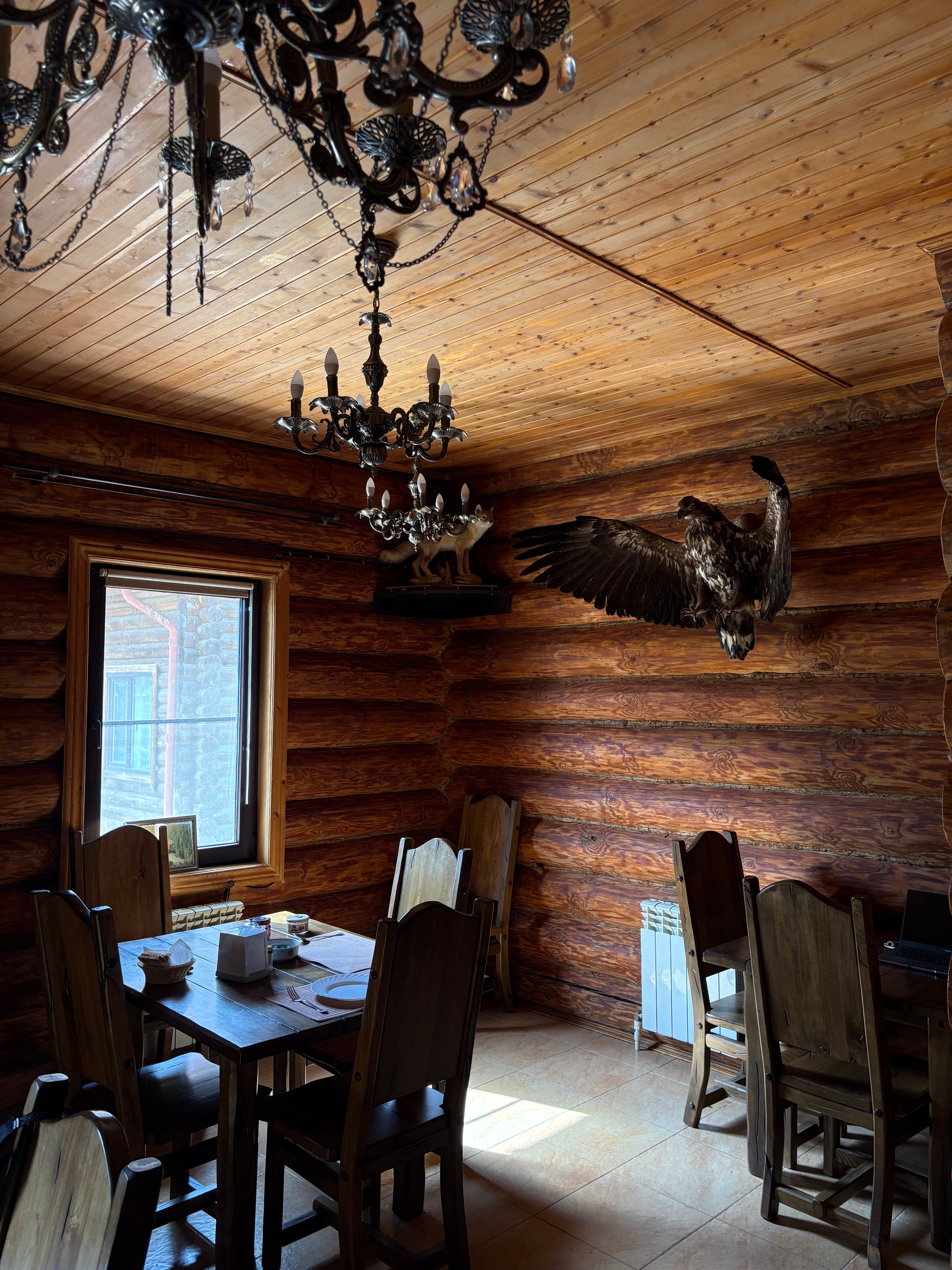 Фото Трофей