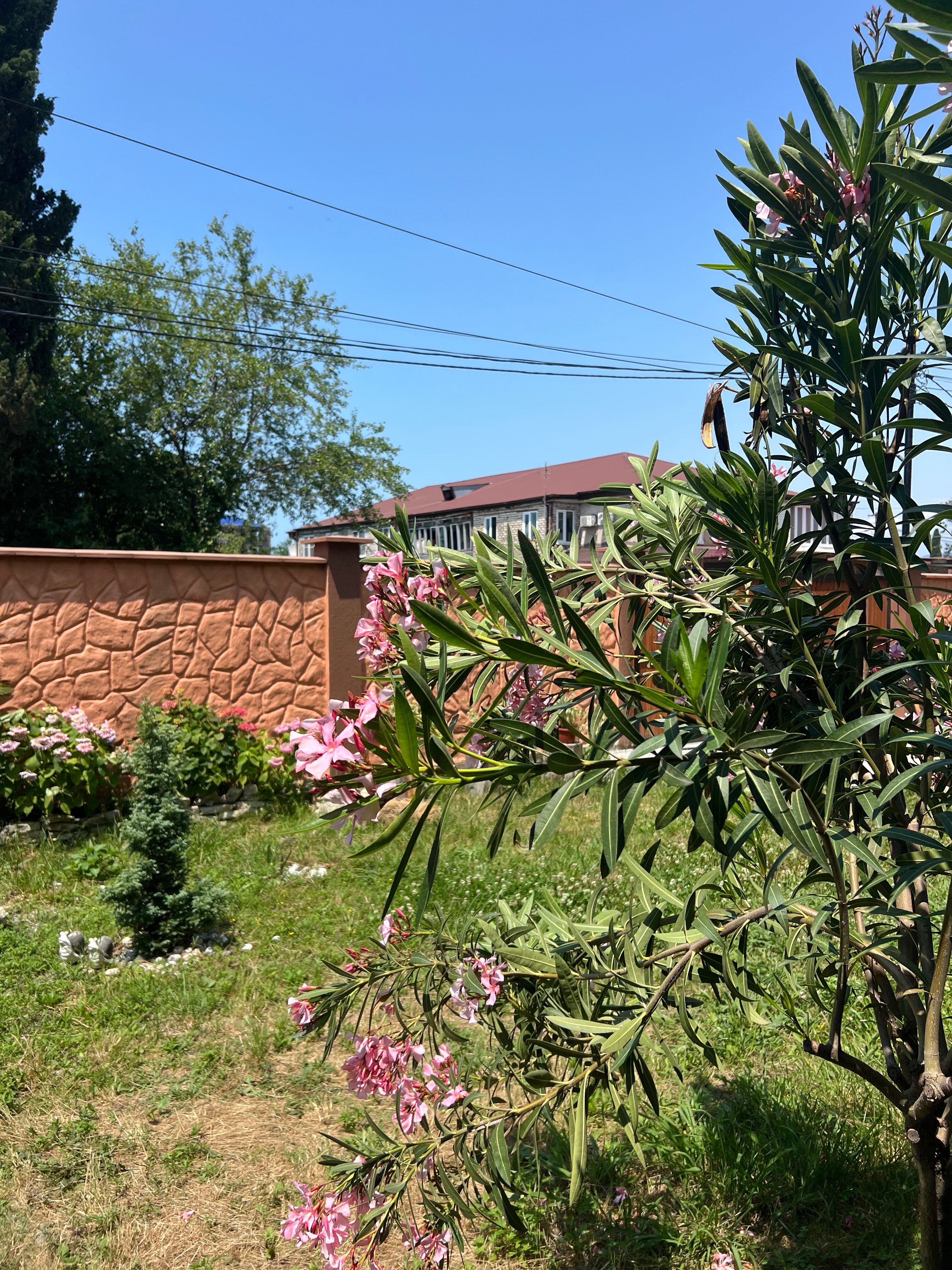 Фото Колорит