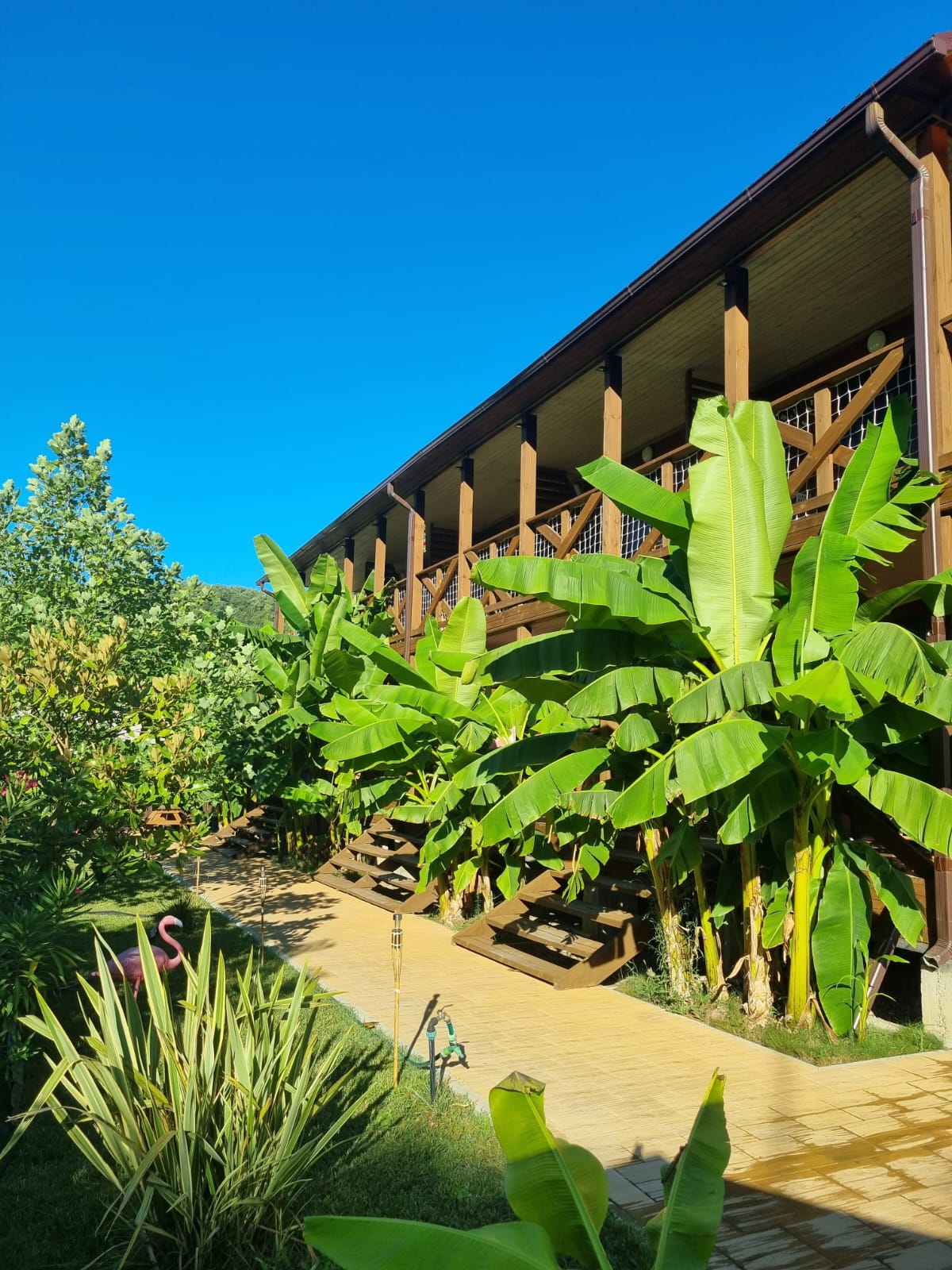 Фото Баунти