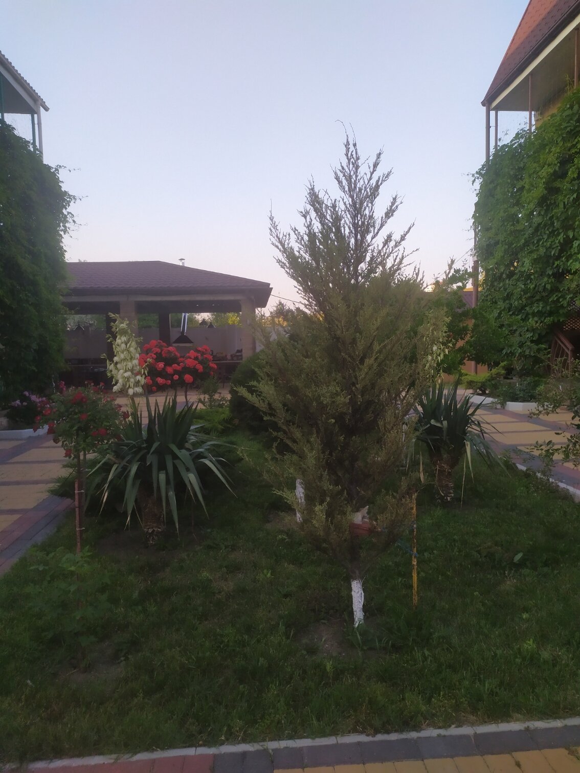 Фото Одиссей