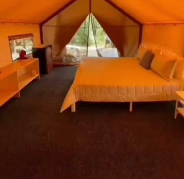 Фото Звезда