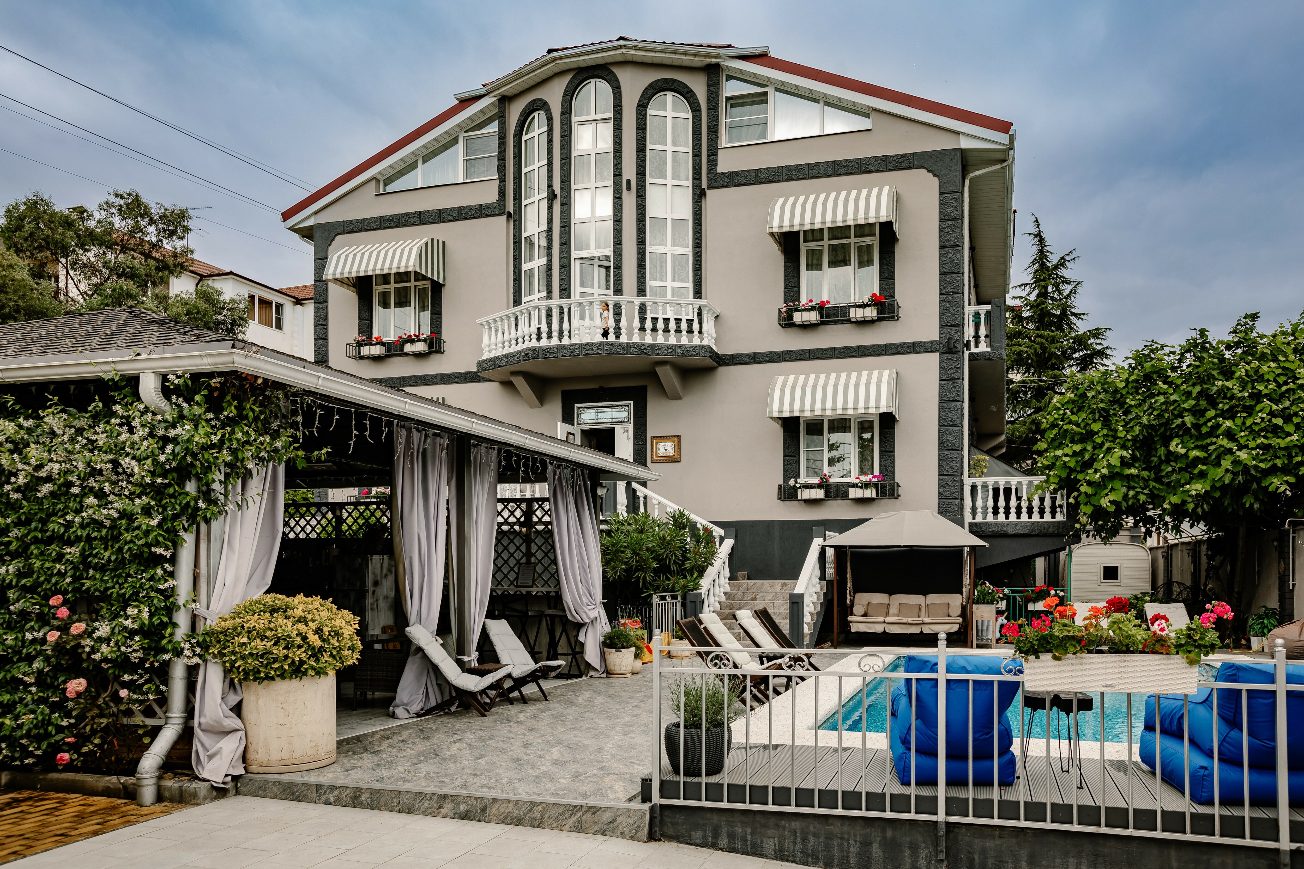 Фото Серый гусь