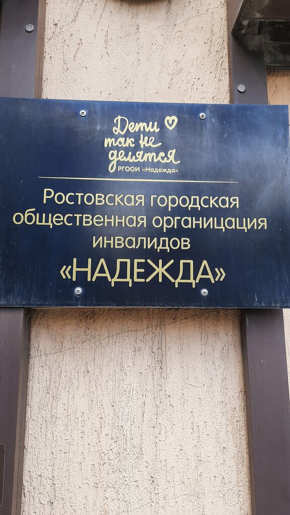 منظمات المجتمع Ростовская городская общественная организация инвалидов Надежда ، روستوف نا دونو، صورة