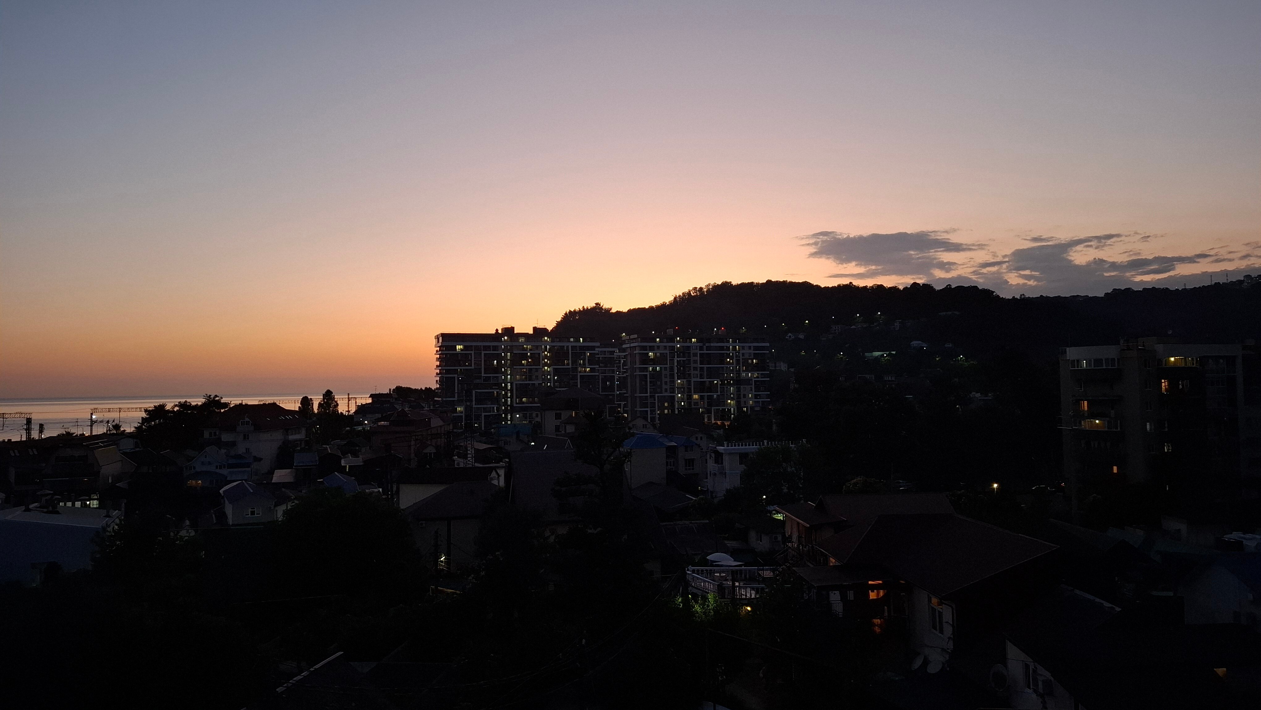 Фото Дельфин