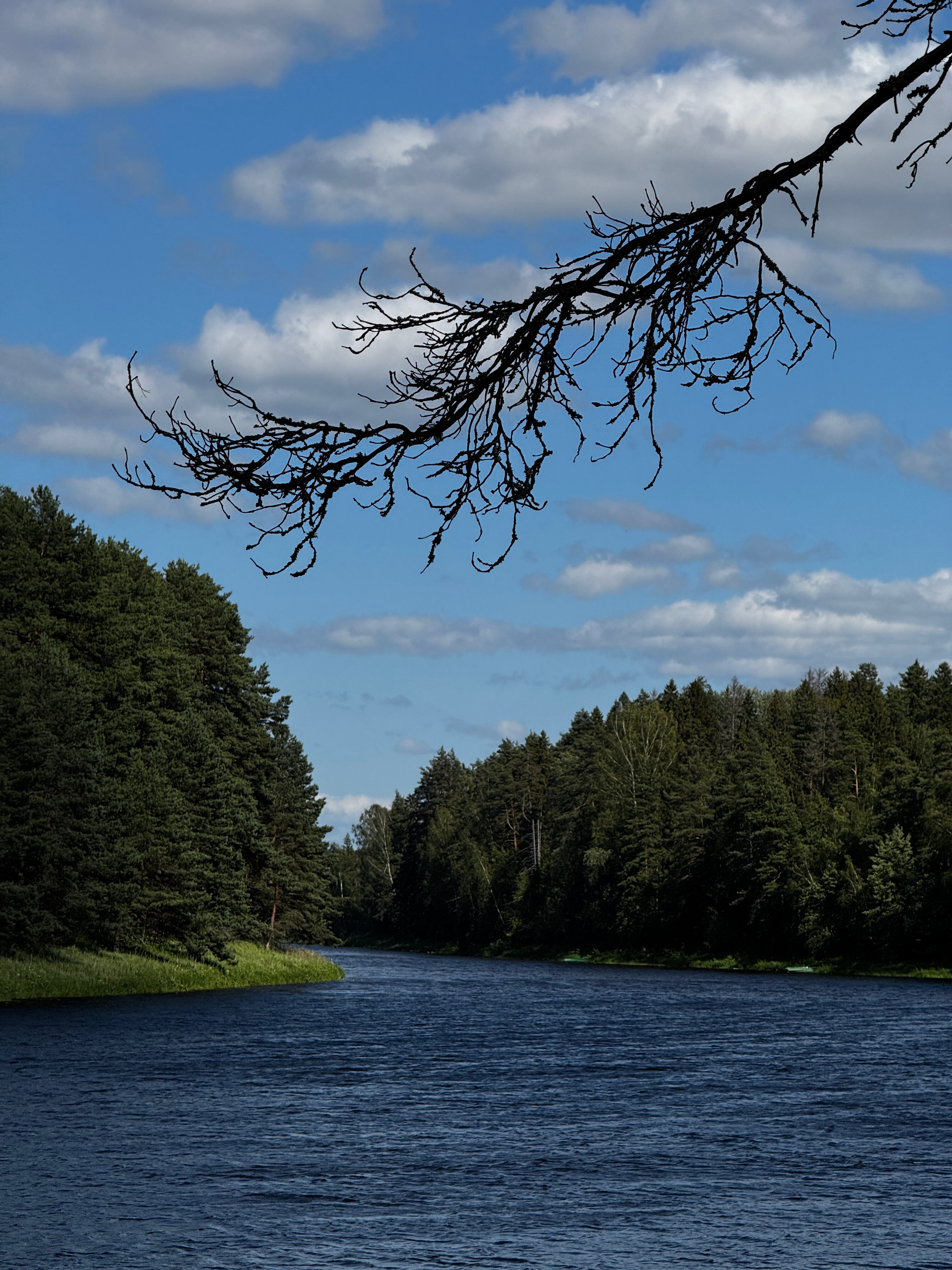 Фото Рекалеса