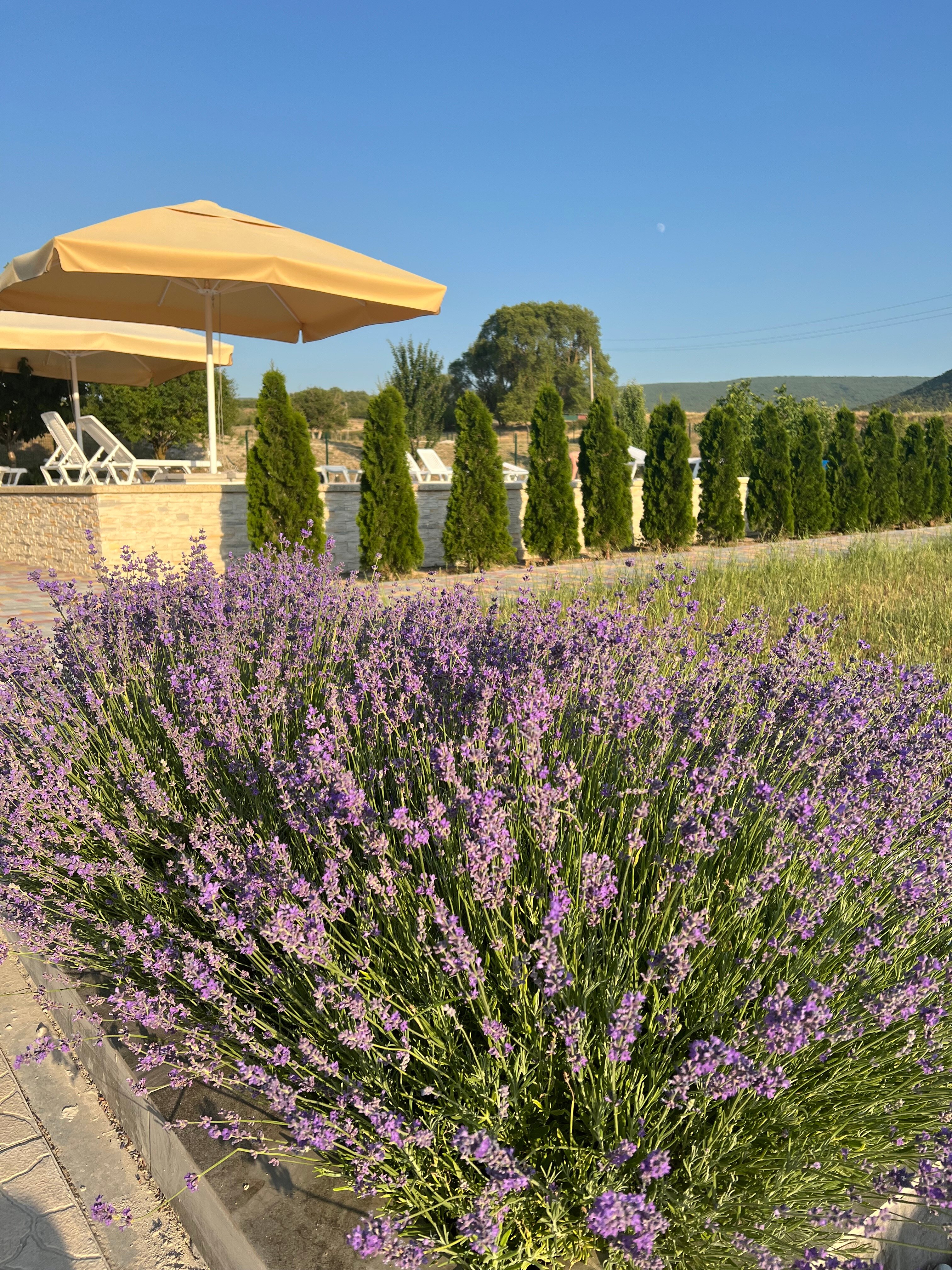 Фото Предгорье