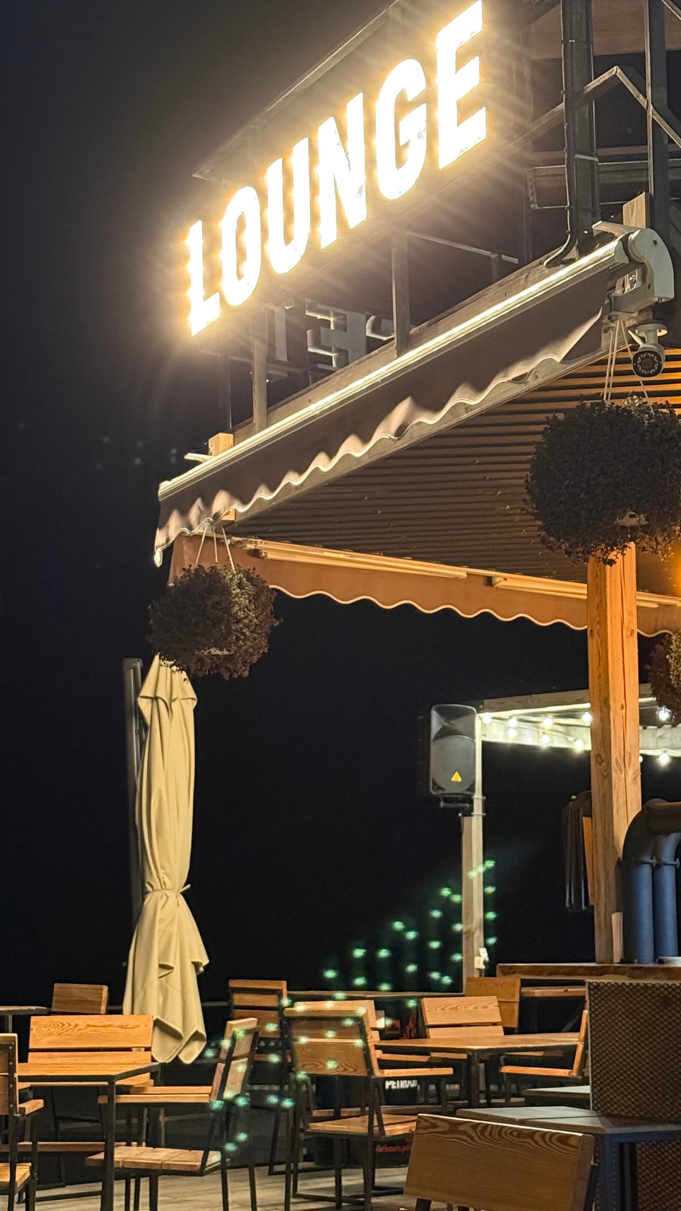 Фото Белый кролик