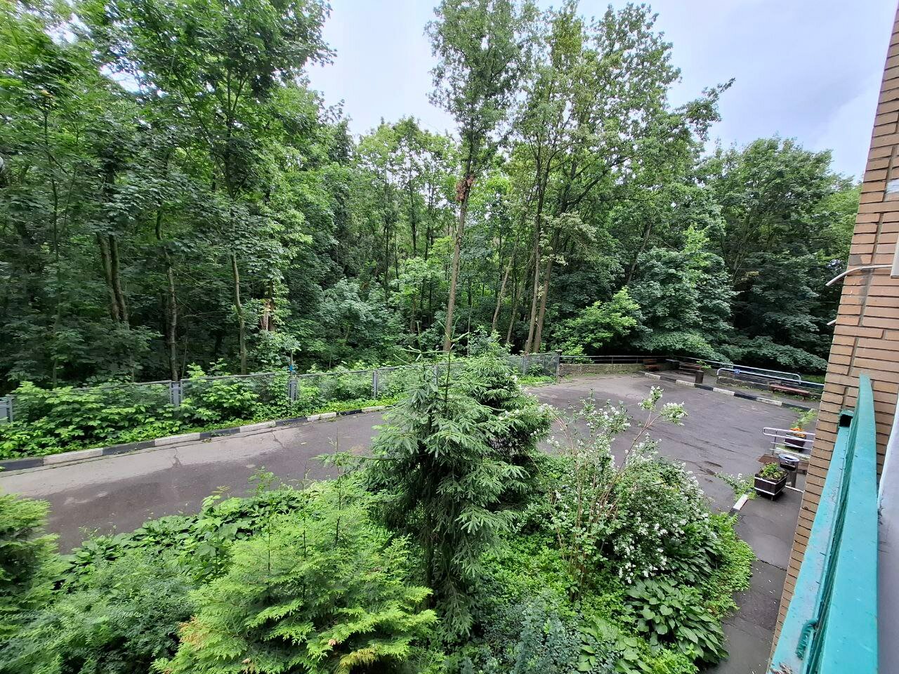 Фото Рослеспром