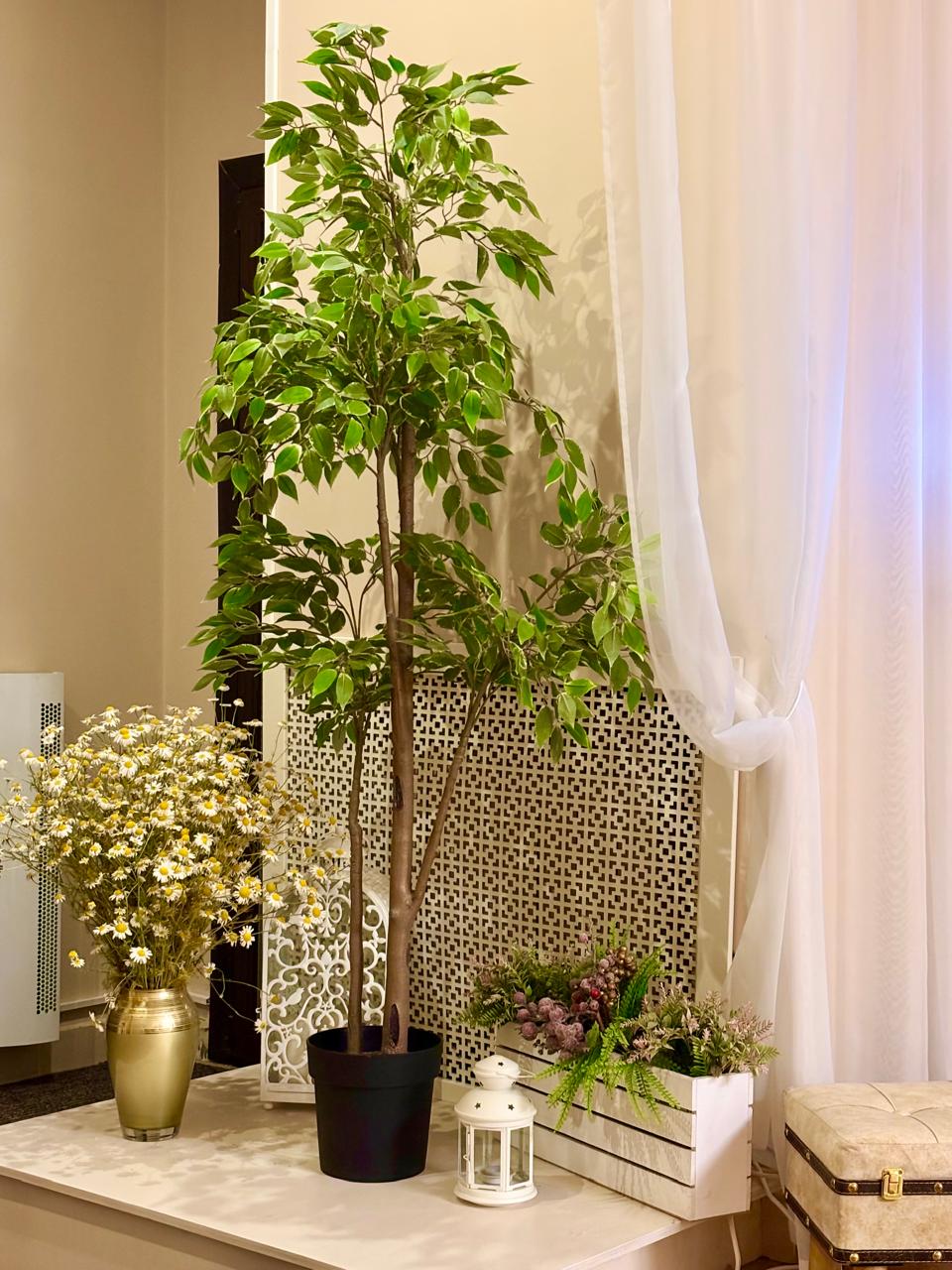 Фото Бастон на Герцена