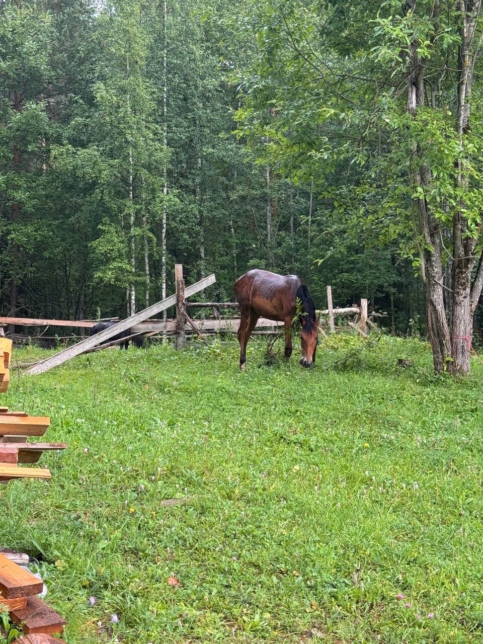 Фото Лунная Долина