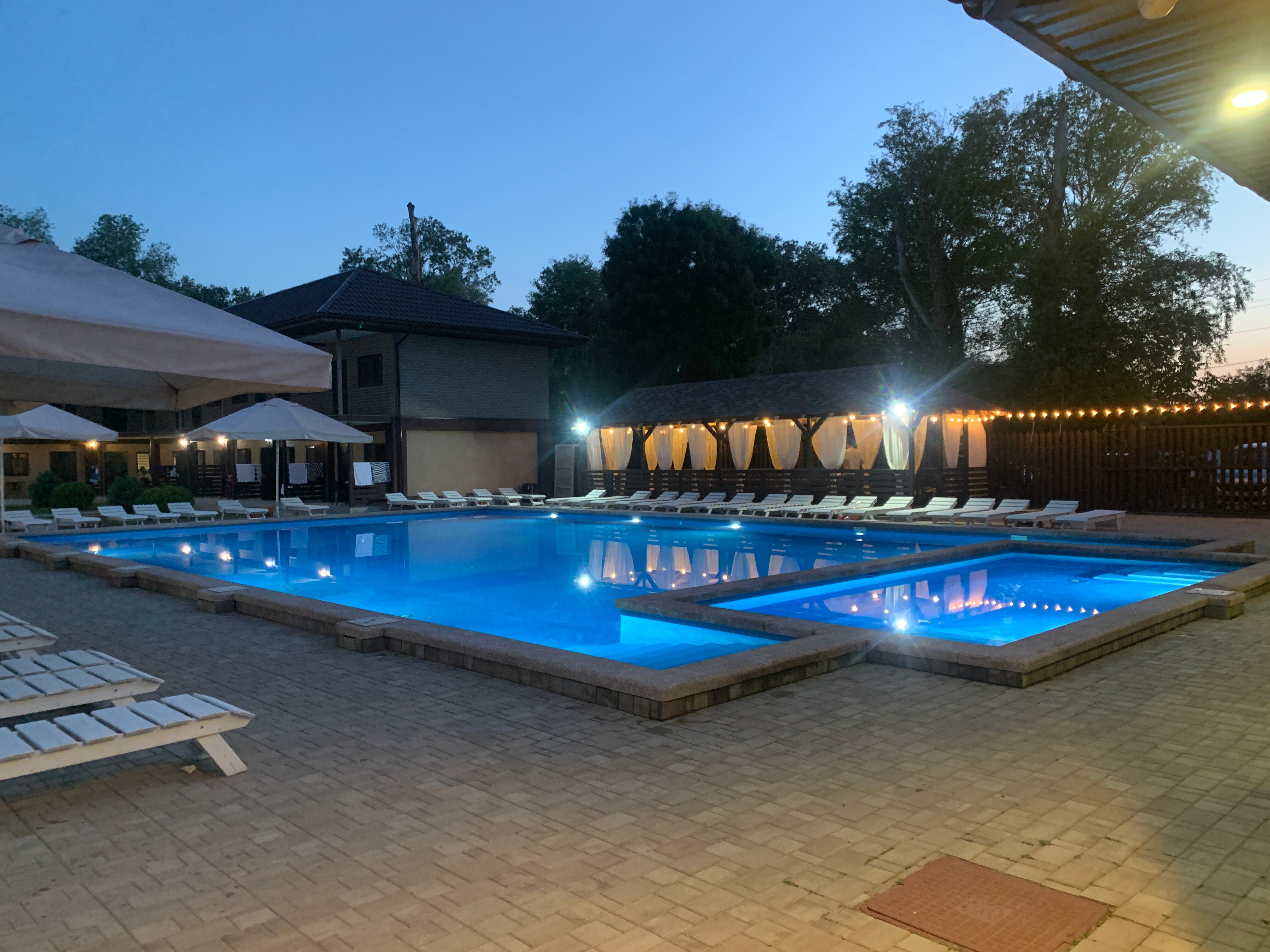 Фото Кипарис