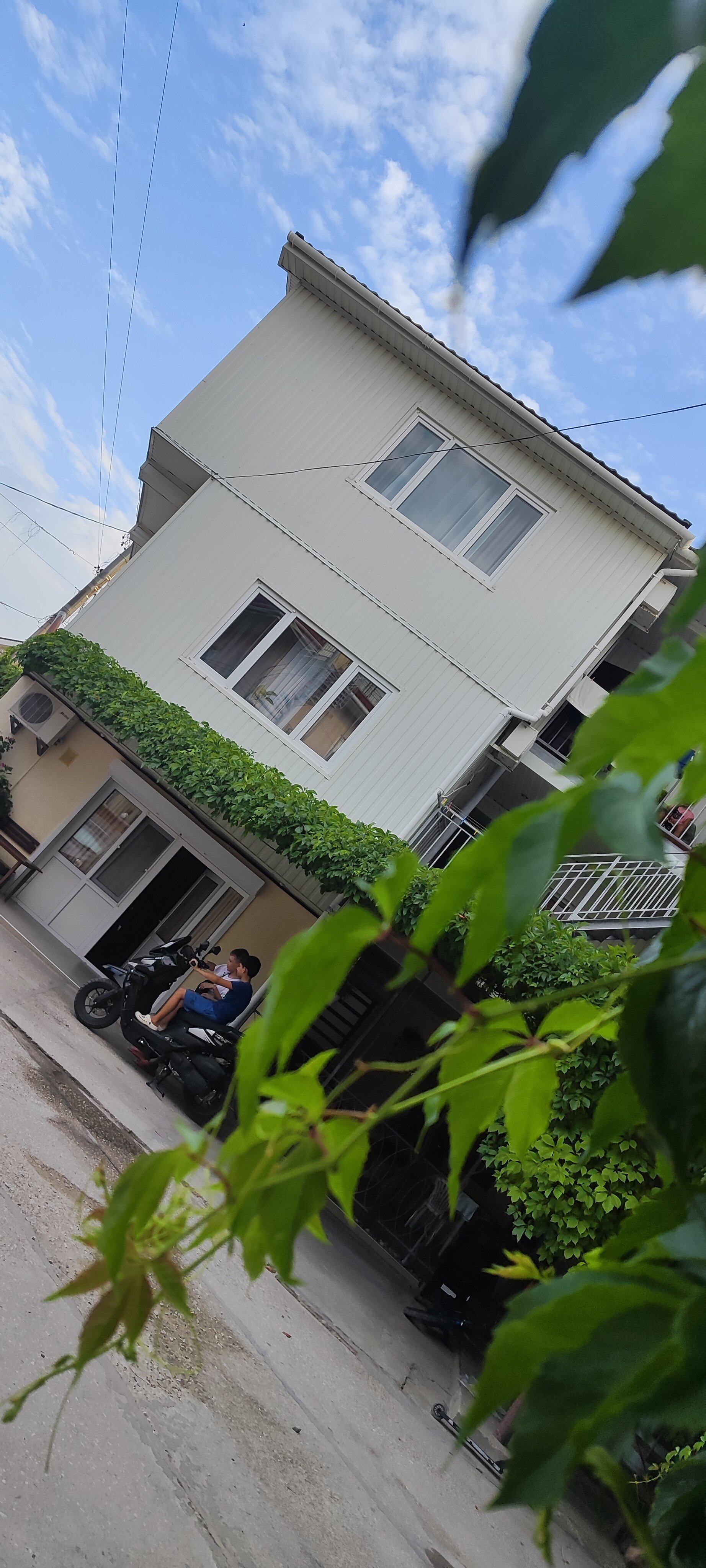 Фото Белый Парус