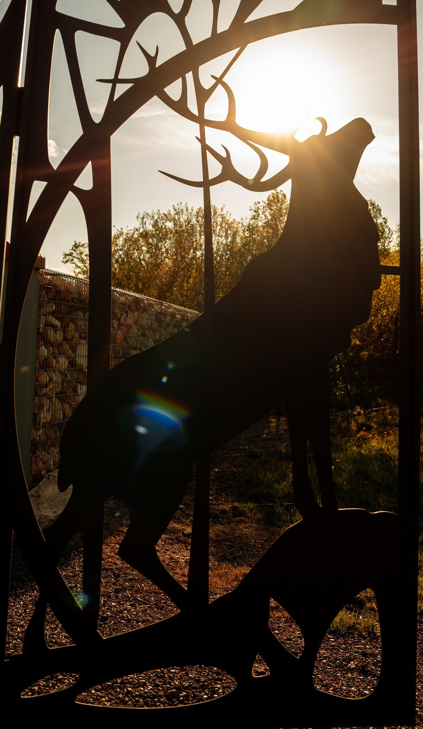 Фото Королевская охота