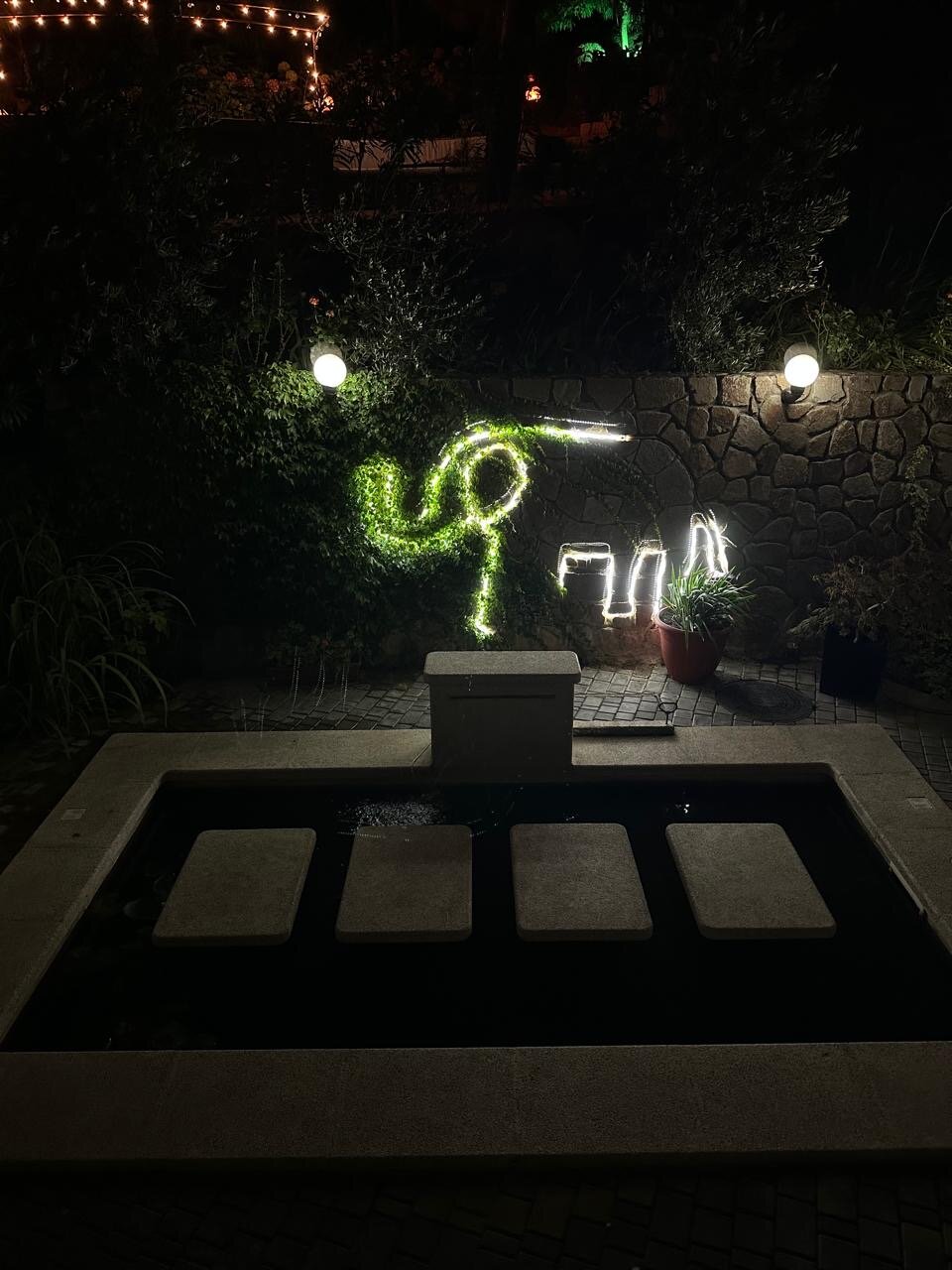 Фото Крымский гость