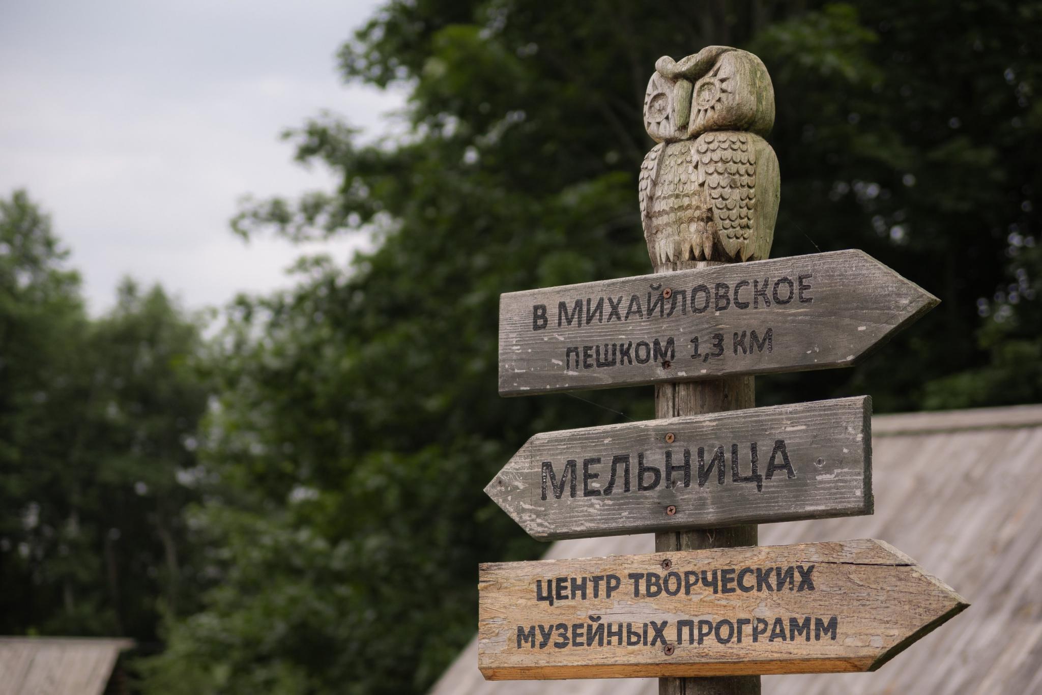 Фото Мятный сад