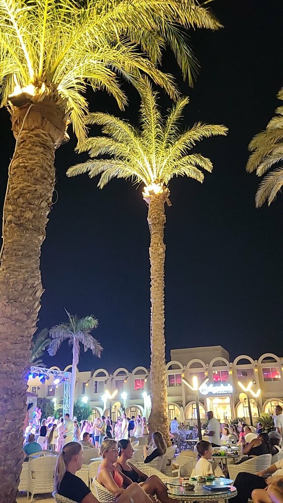 ملهى ليلي Дискотека Alladin ، الغردقة، صورة