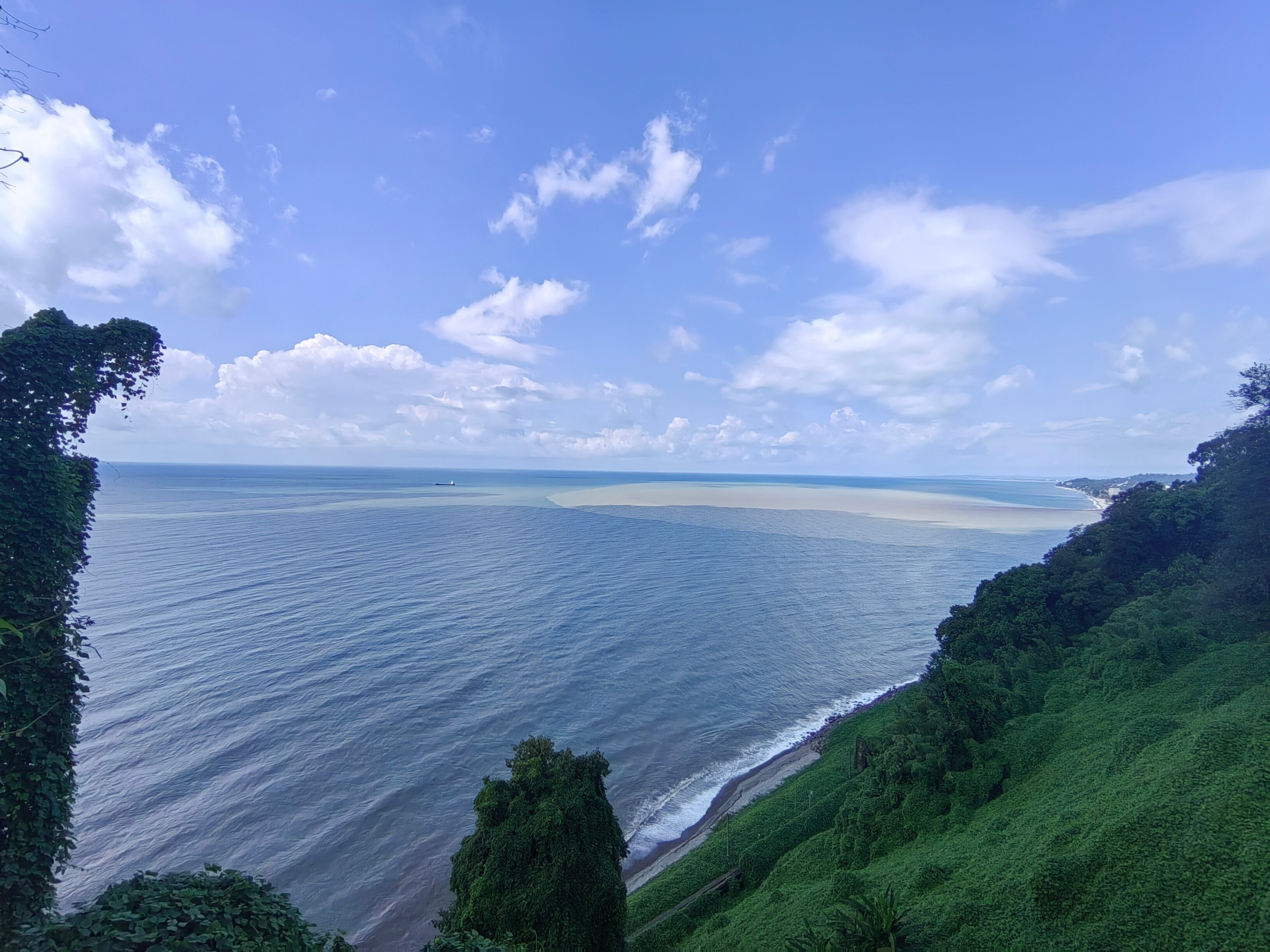 Фото Greenwood Hotel 