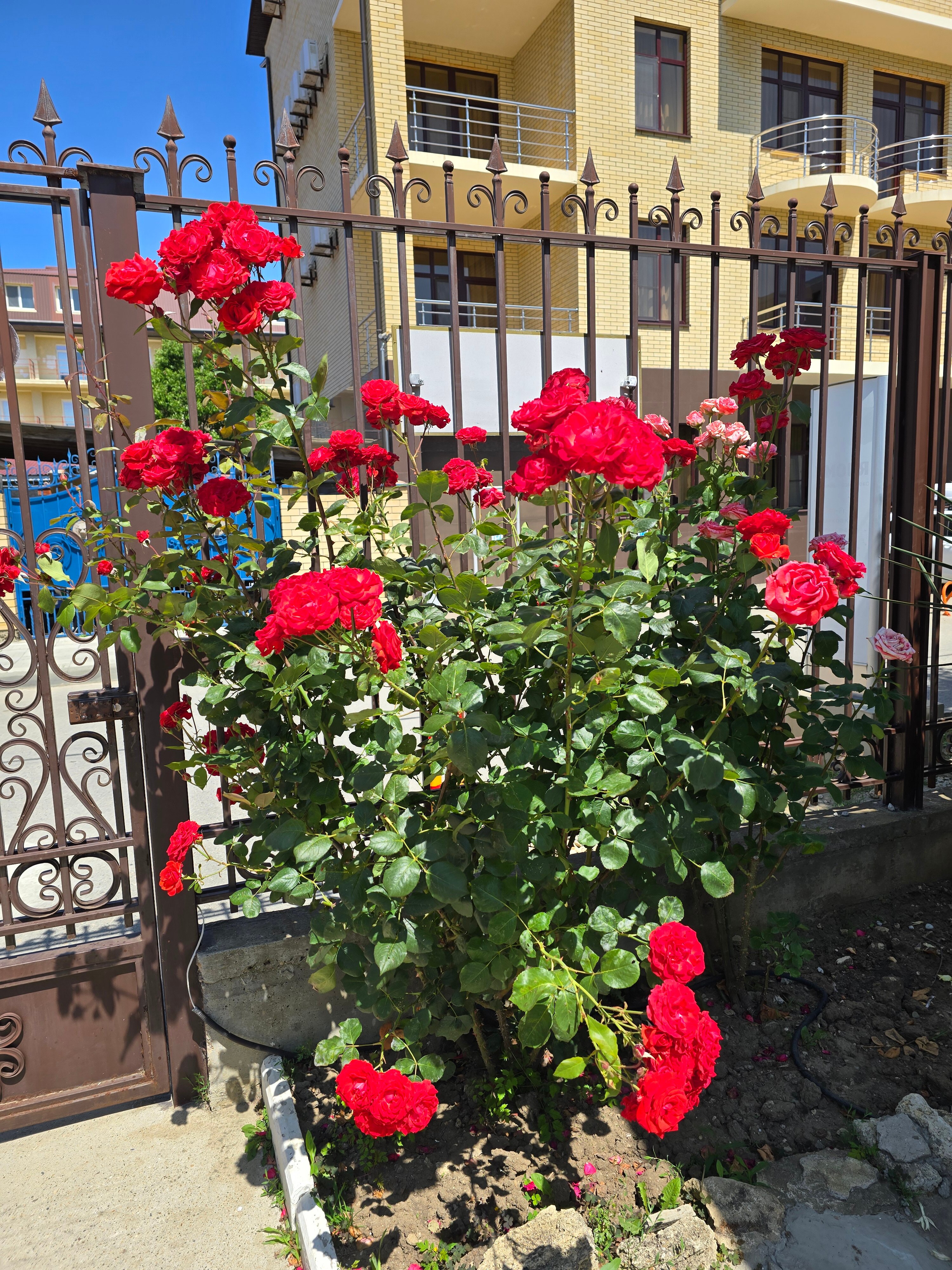 Фото отеля 4