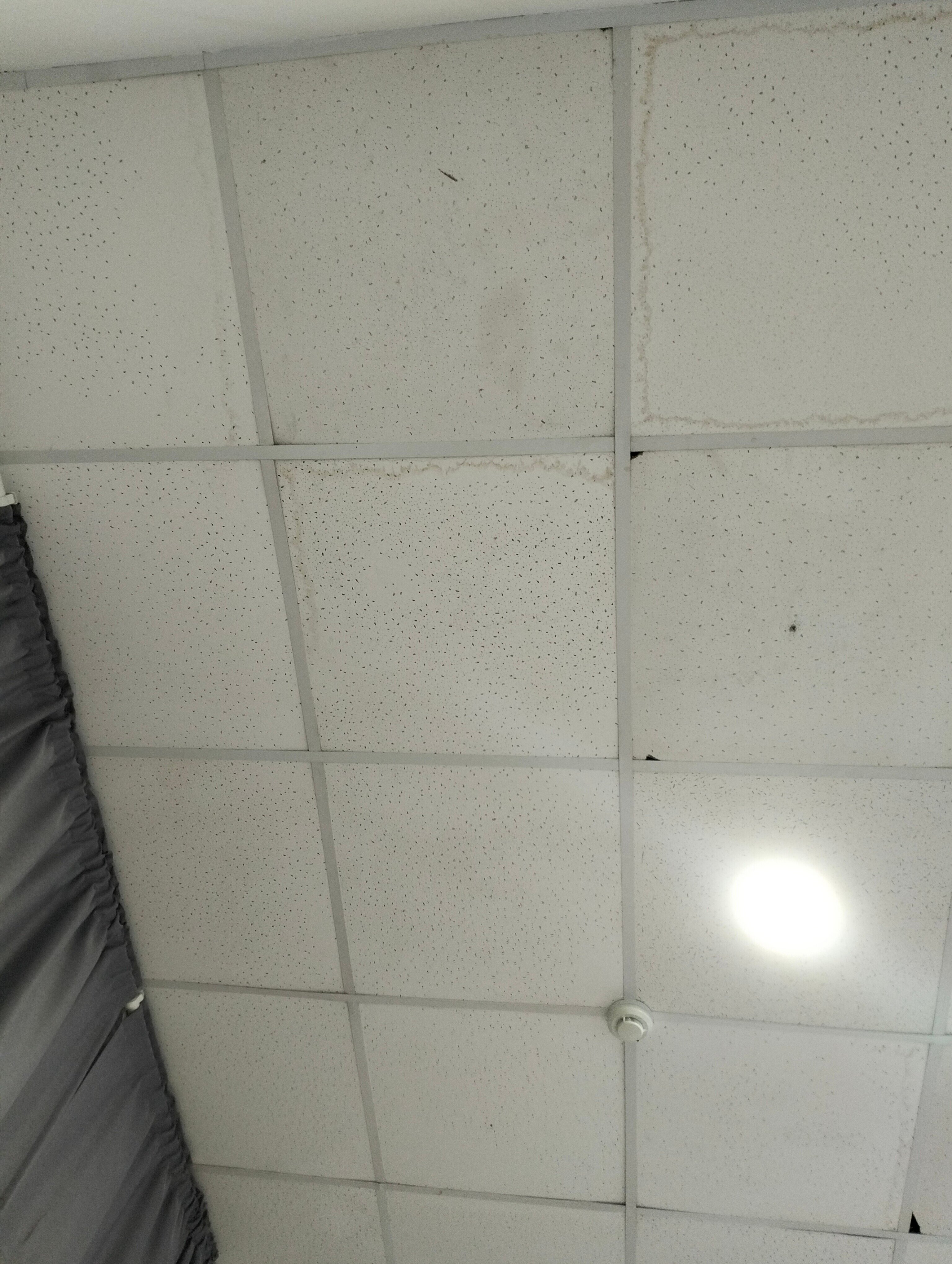 Фото Ласточкино гнездо