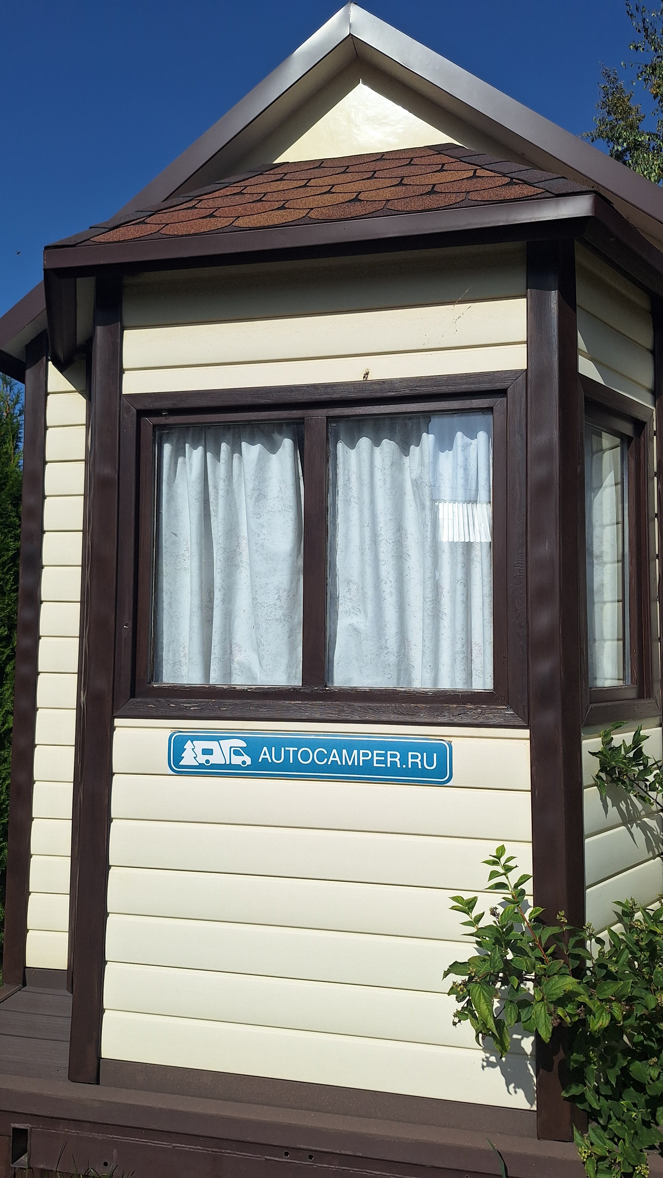 Фото Два гуся