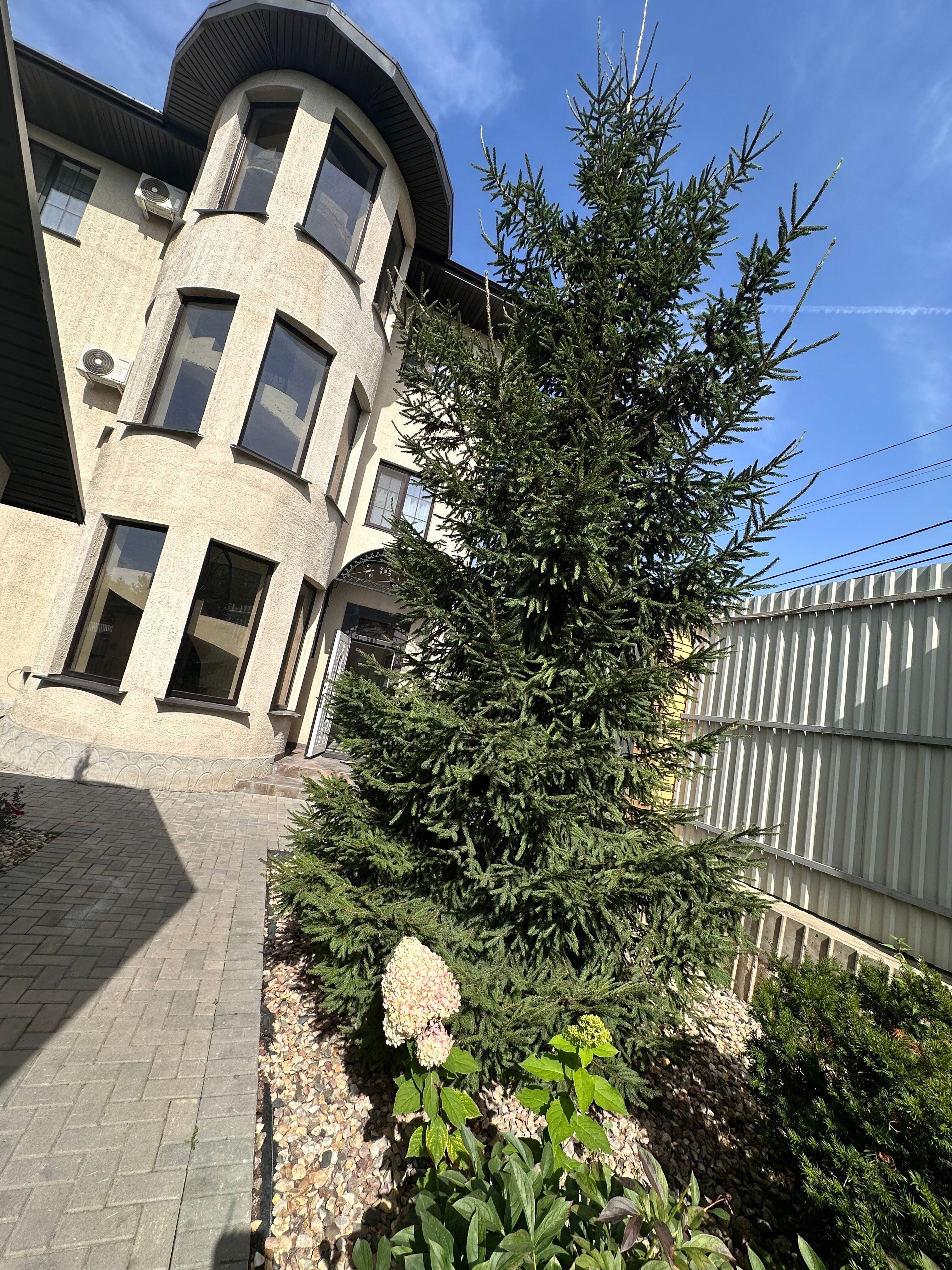 Фото Лауренция