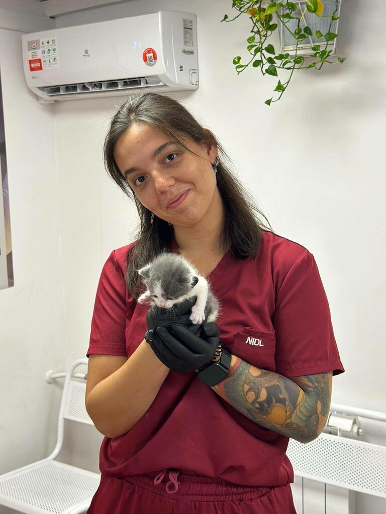 Veterinary clinic Bely Aist, Saint Petersburg, photo