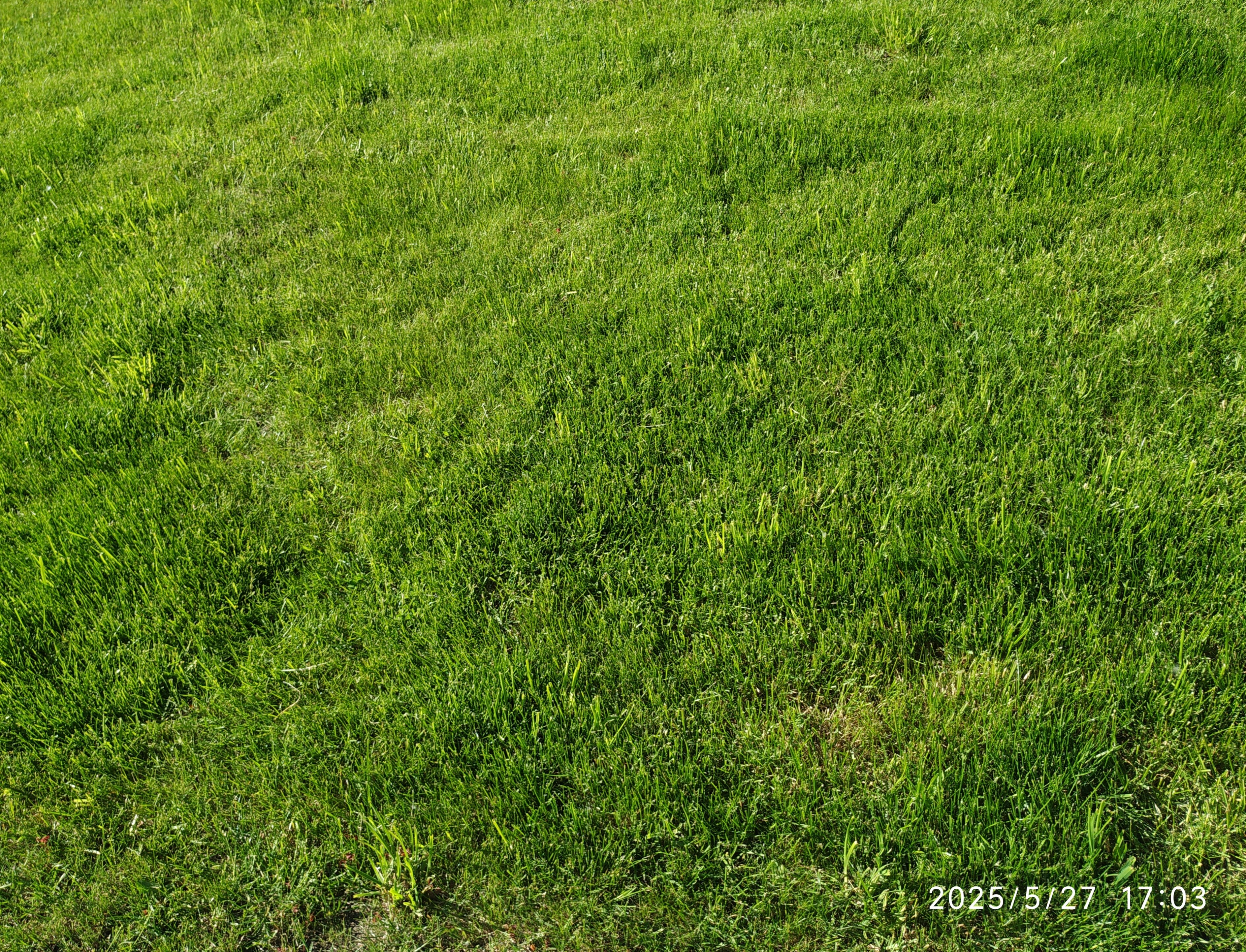 Фото Гостиница на М5