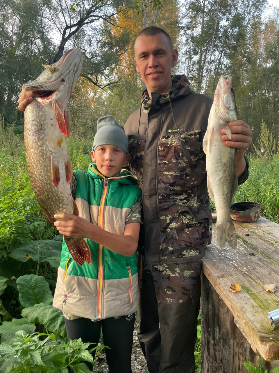 Фото Домик на дереве