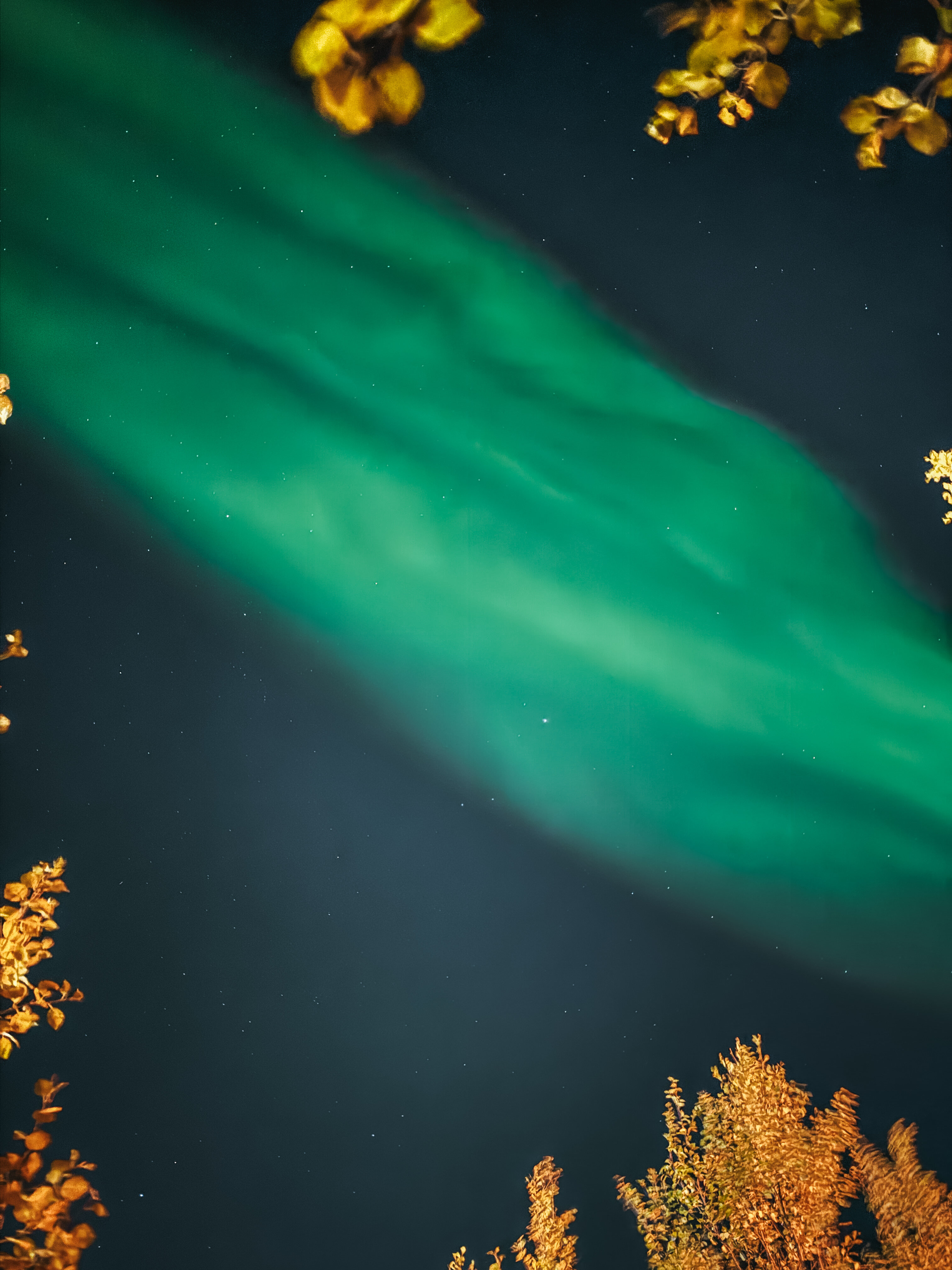 Фото Огни Мурманска