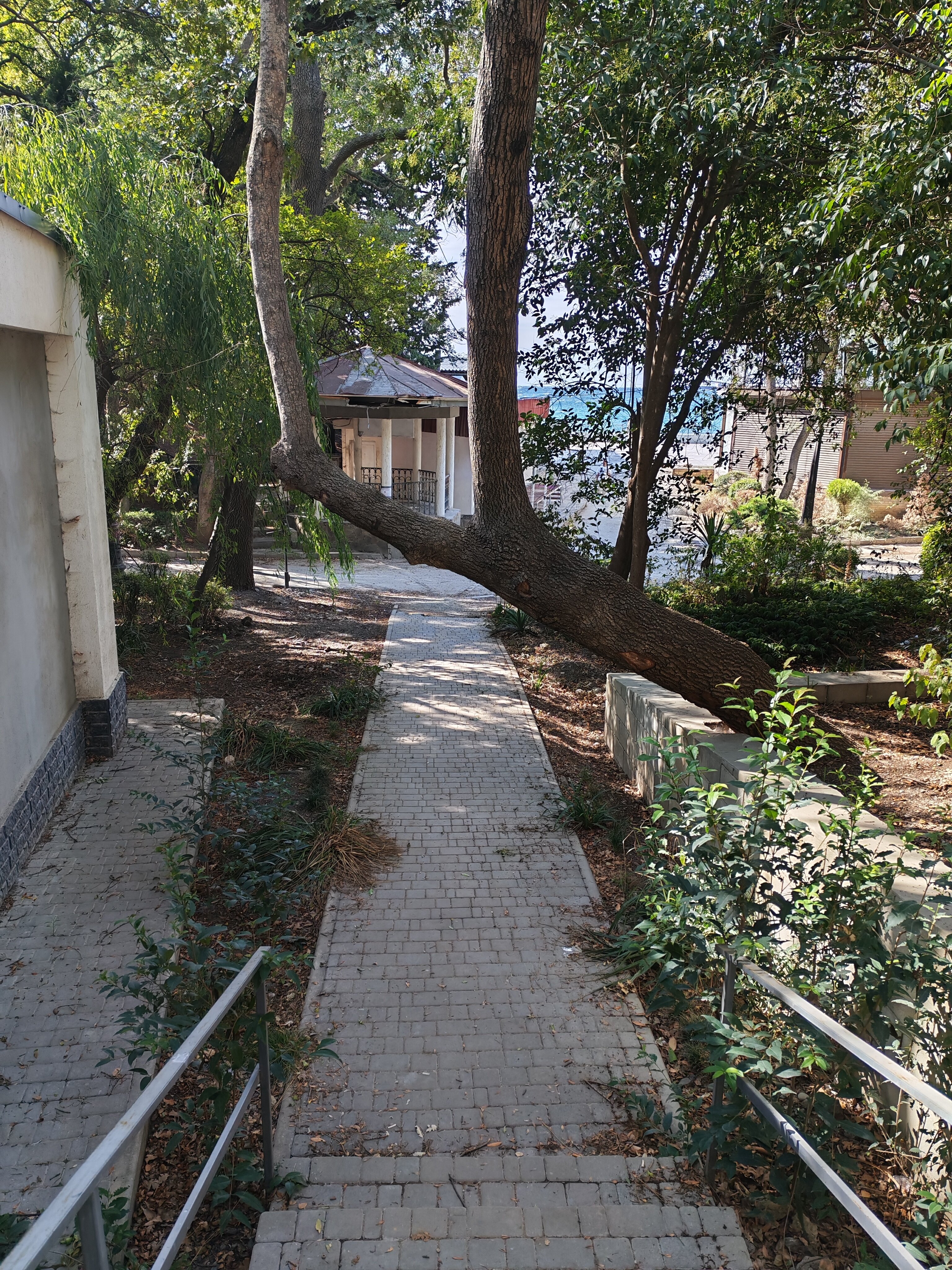 Фото Ripario Apart