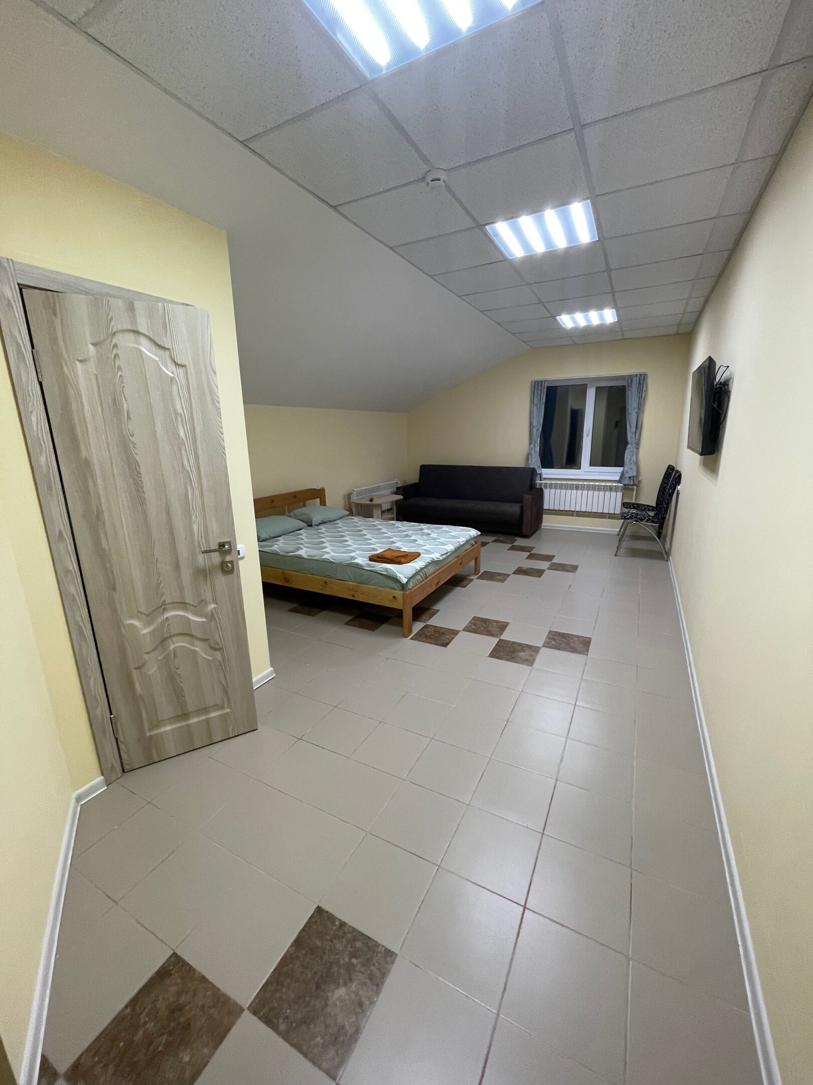 Фото Два Льва