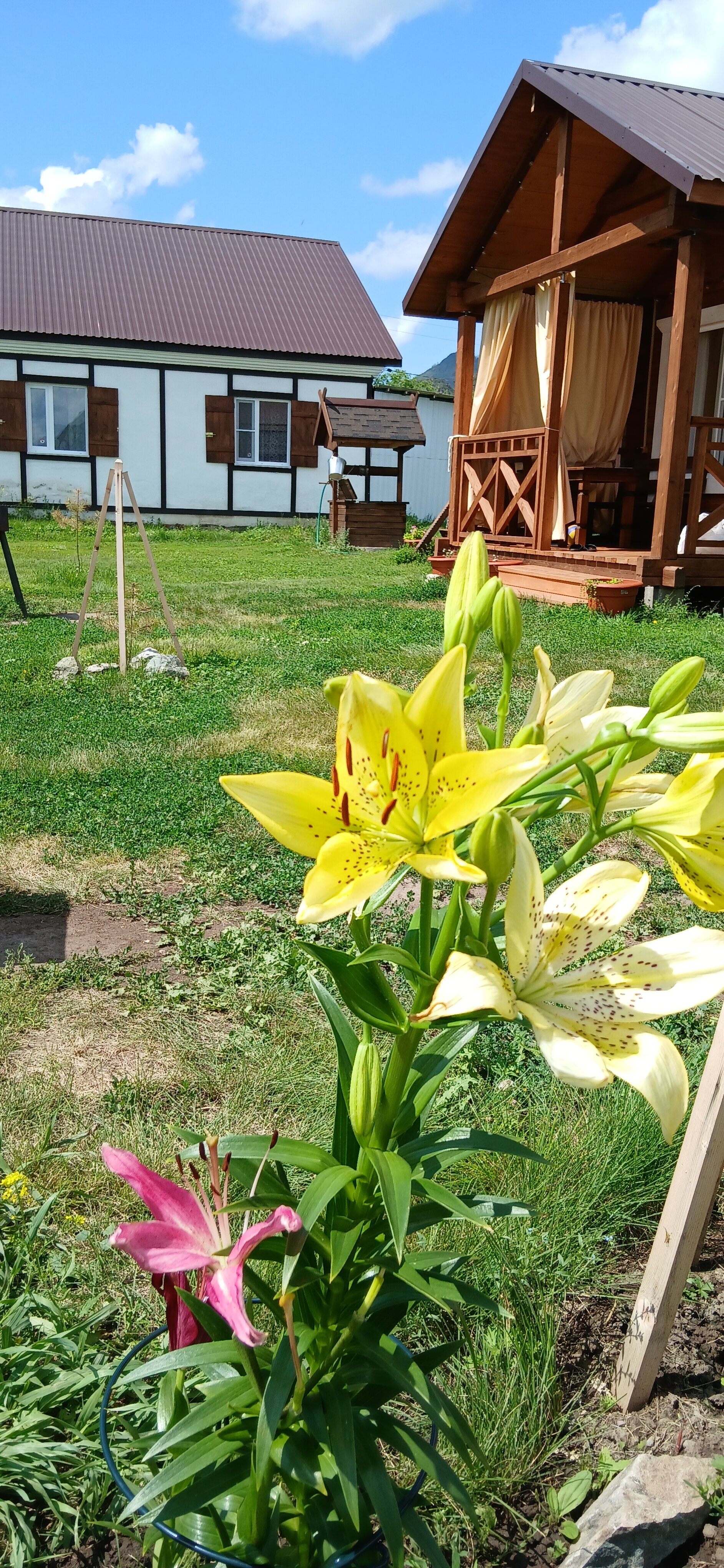 Фото Усадьба Мечталеси