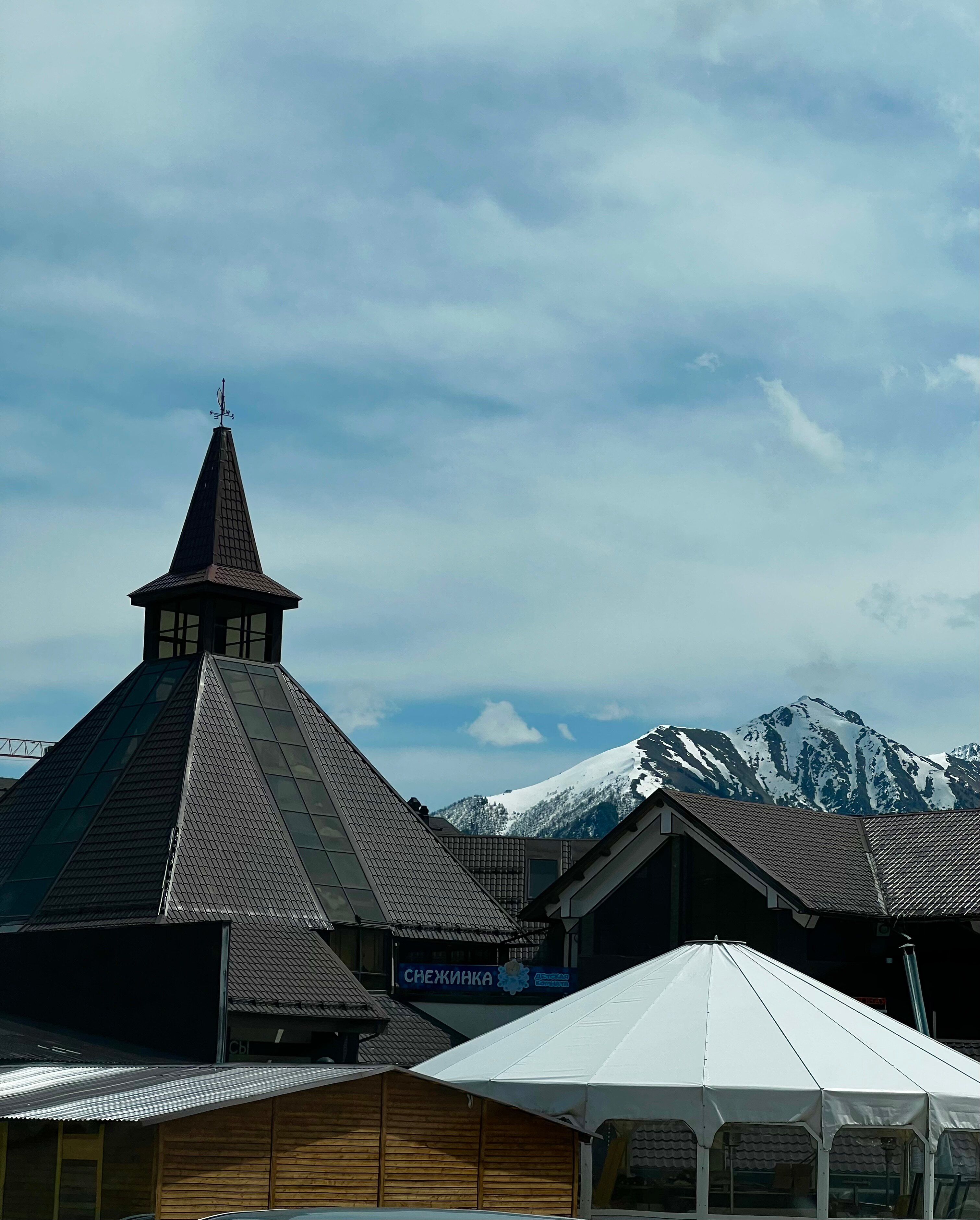 Фото Сосновый бор