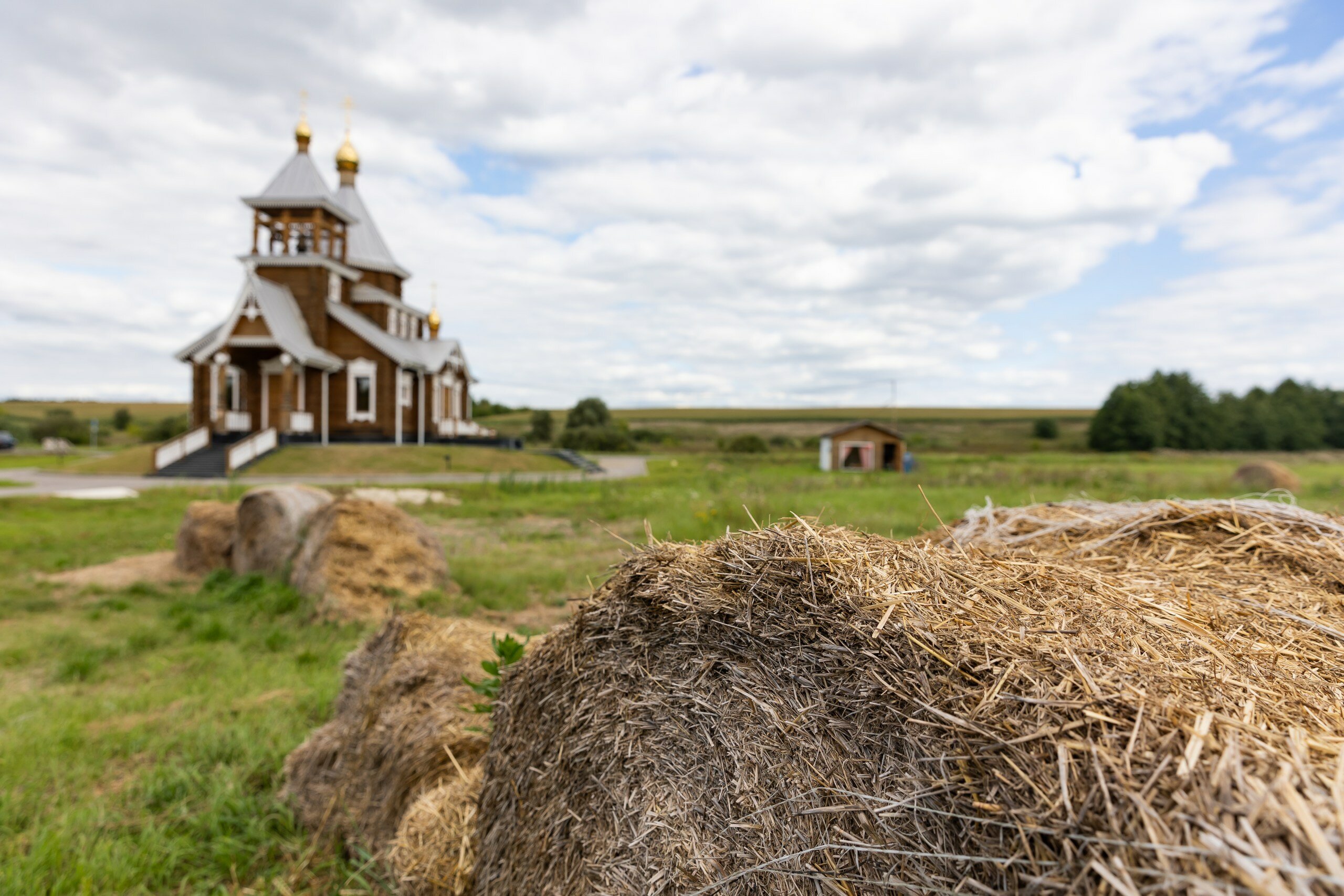Фото Яхонты Красниково