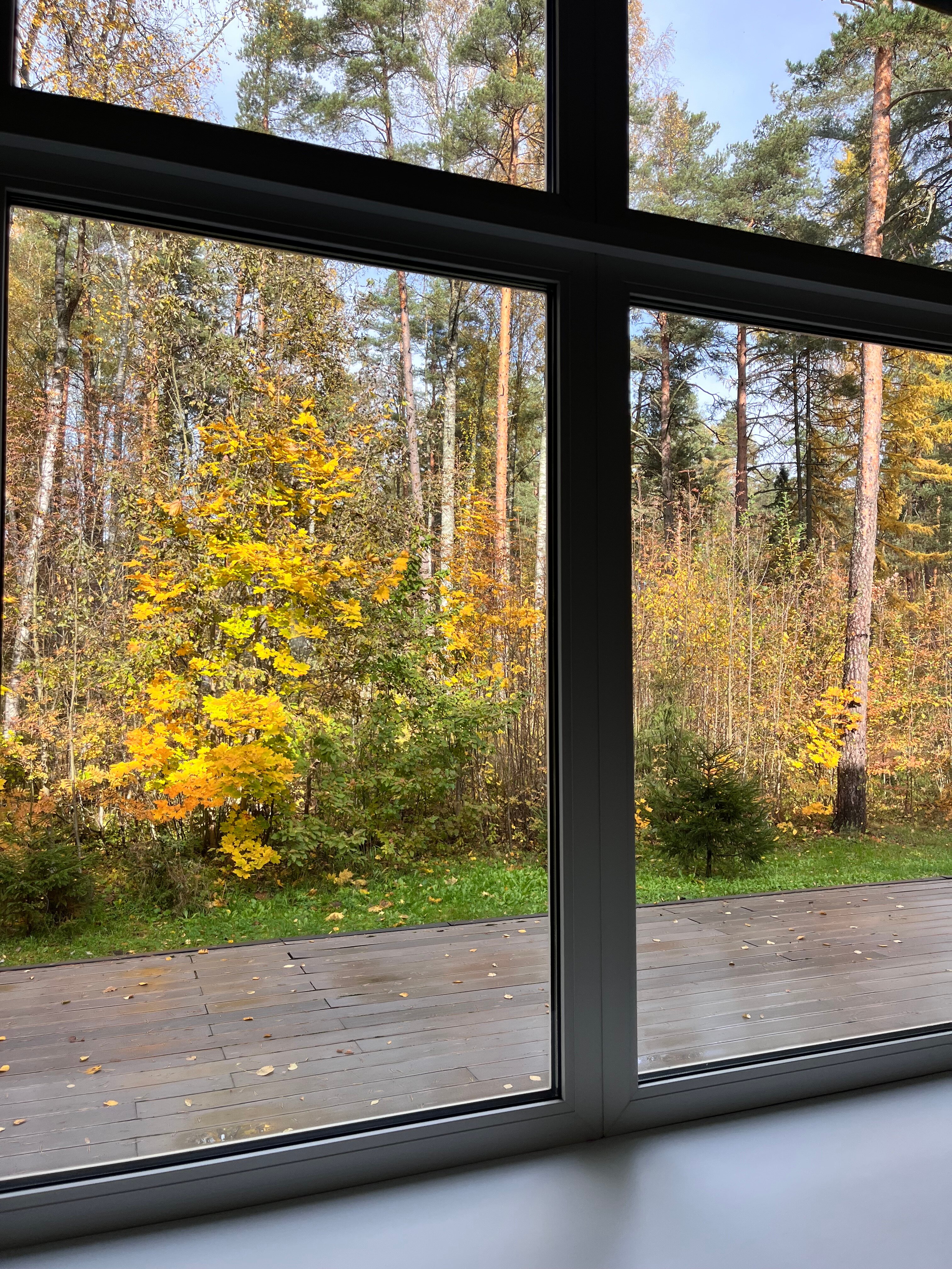 Фото Искатель